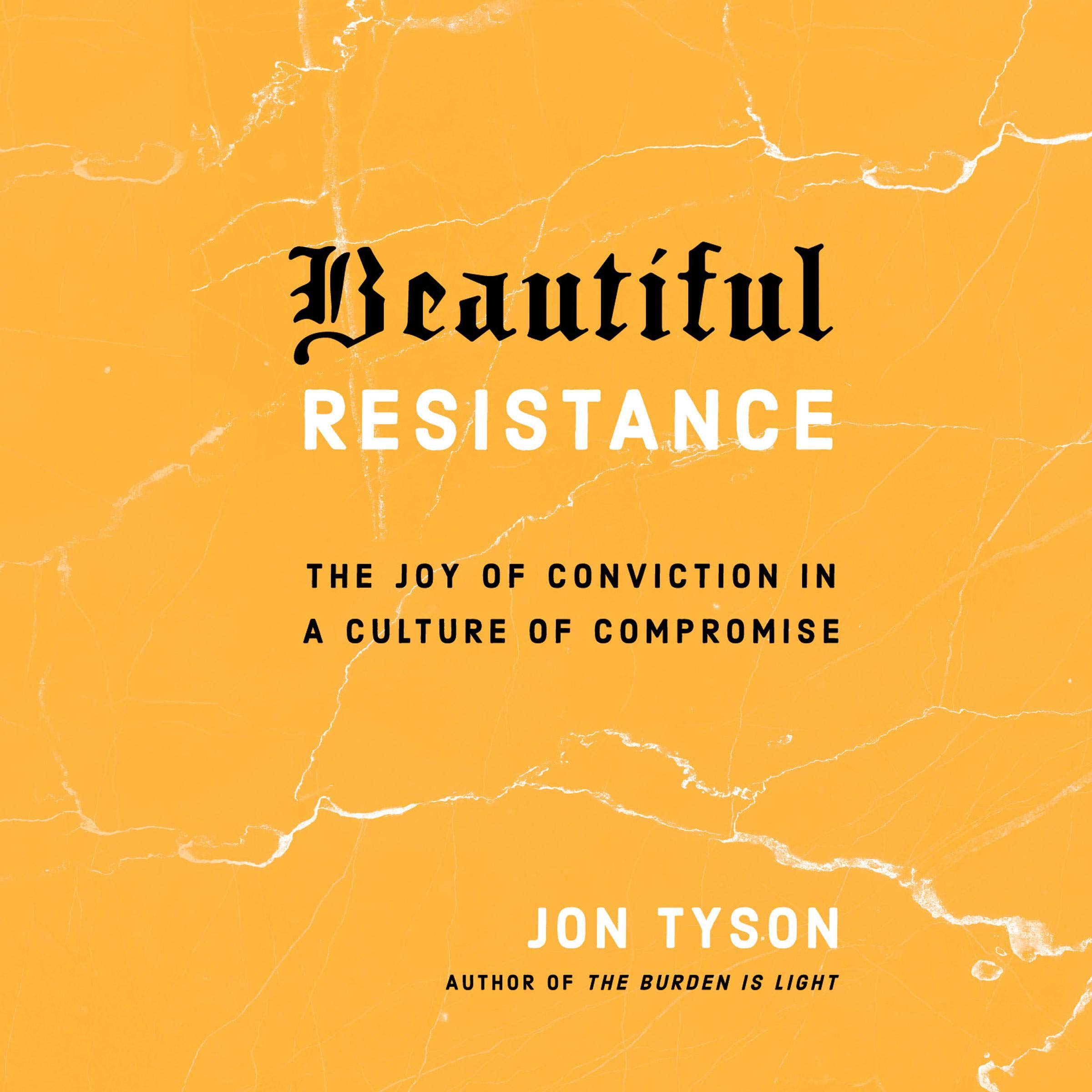 Cover art for Beautiful Resistance