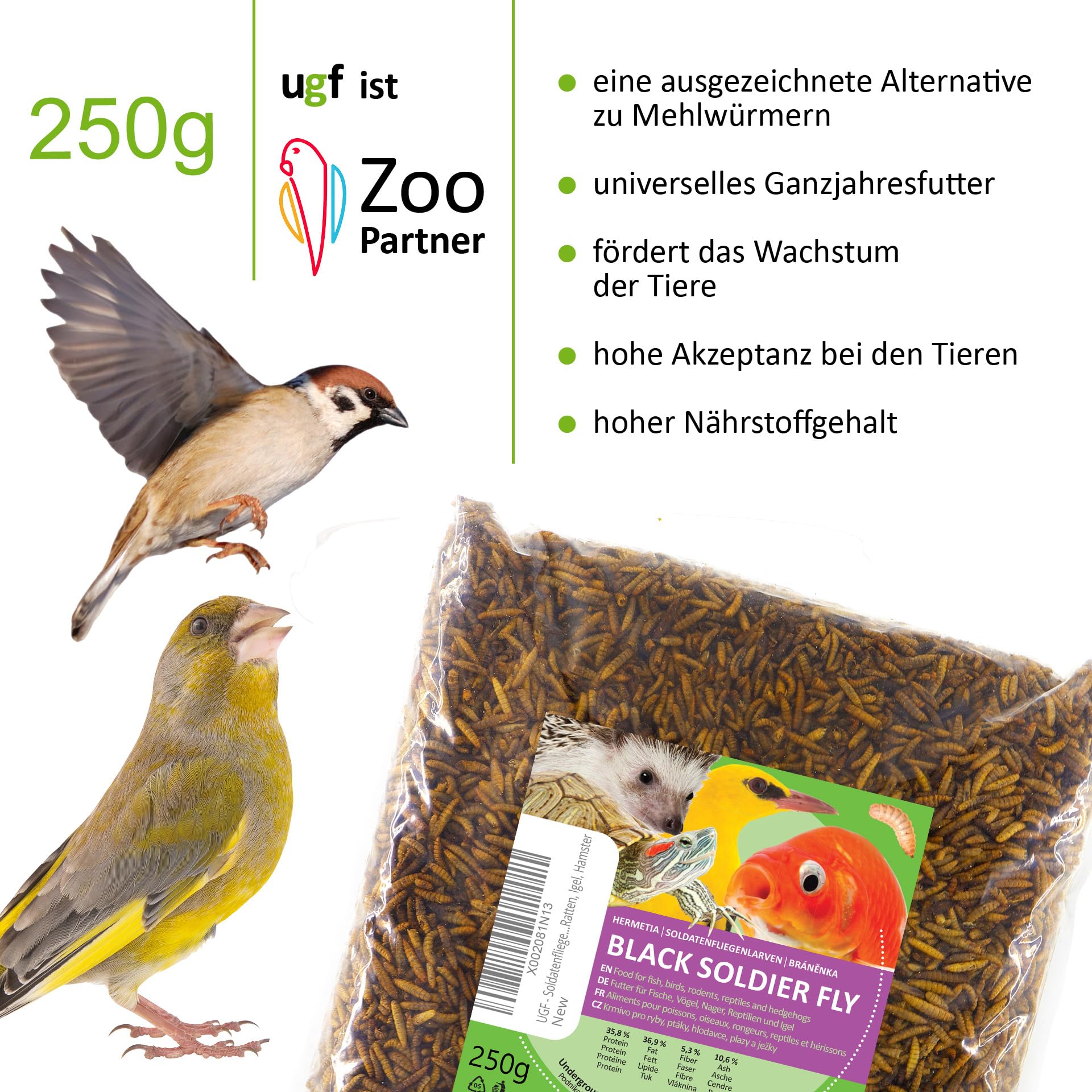 Hermetia larve di mosca soldato BSFL 250 g calcio per uccelli selvatici tartarughe ratti ricci