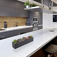 Vista 6 de Caja rectangular moderna de acero inoxidable para plantas