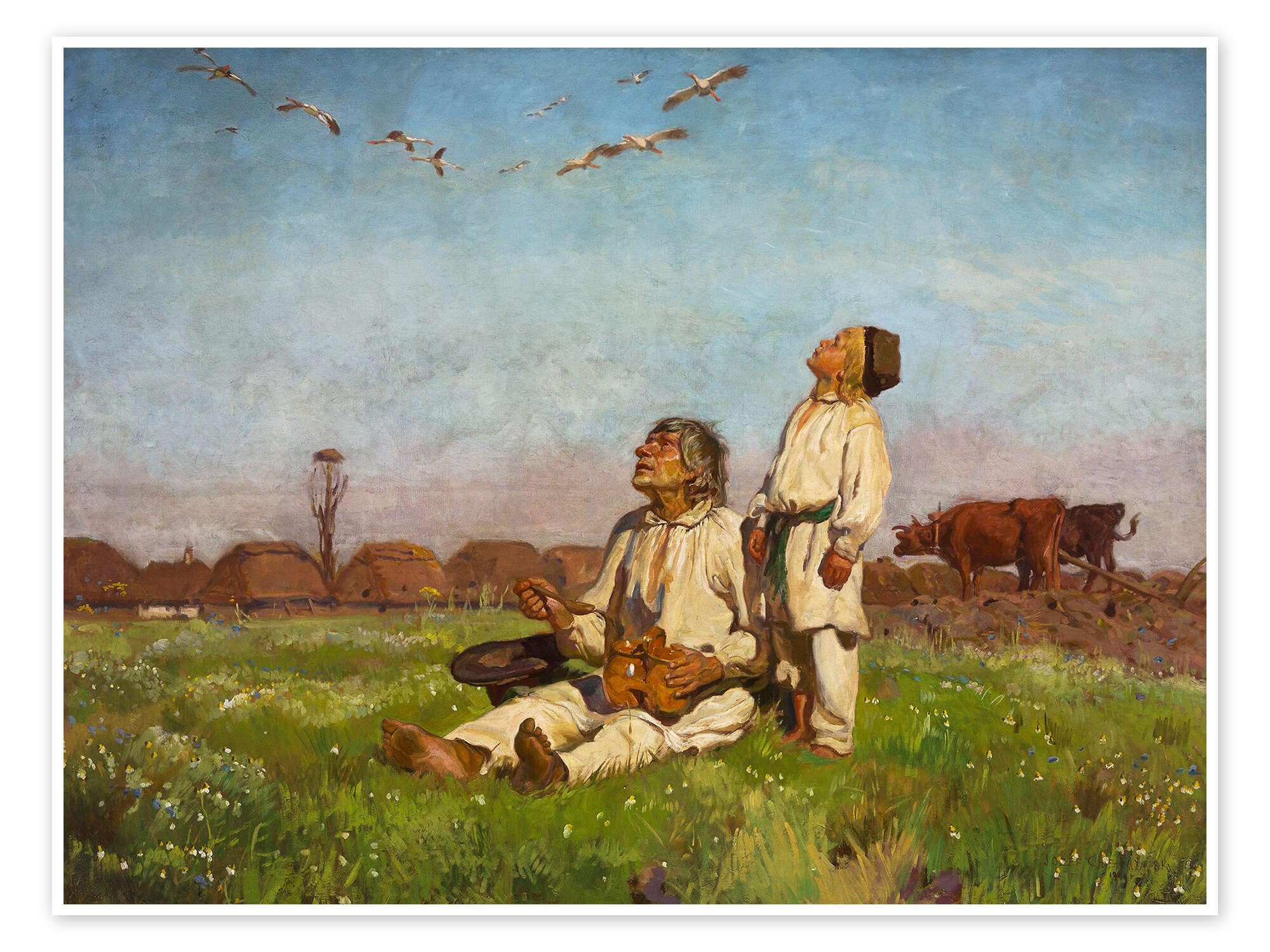 Bociany Plakat