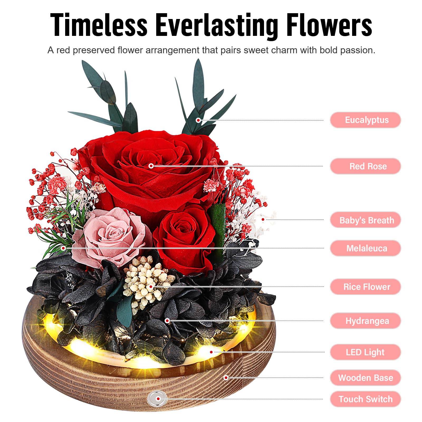 Rosa Stabilizzata Vera con Luci LED, Rosa Eterna La Bella e la Bestia, Regalo per Lei, Donna, Fidanzata, Mamma, Idee Regalo per San Valentino, Compleanno, Anniversario, Festa della Mamma (Rossa)