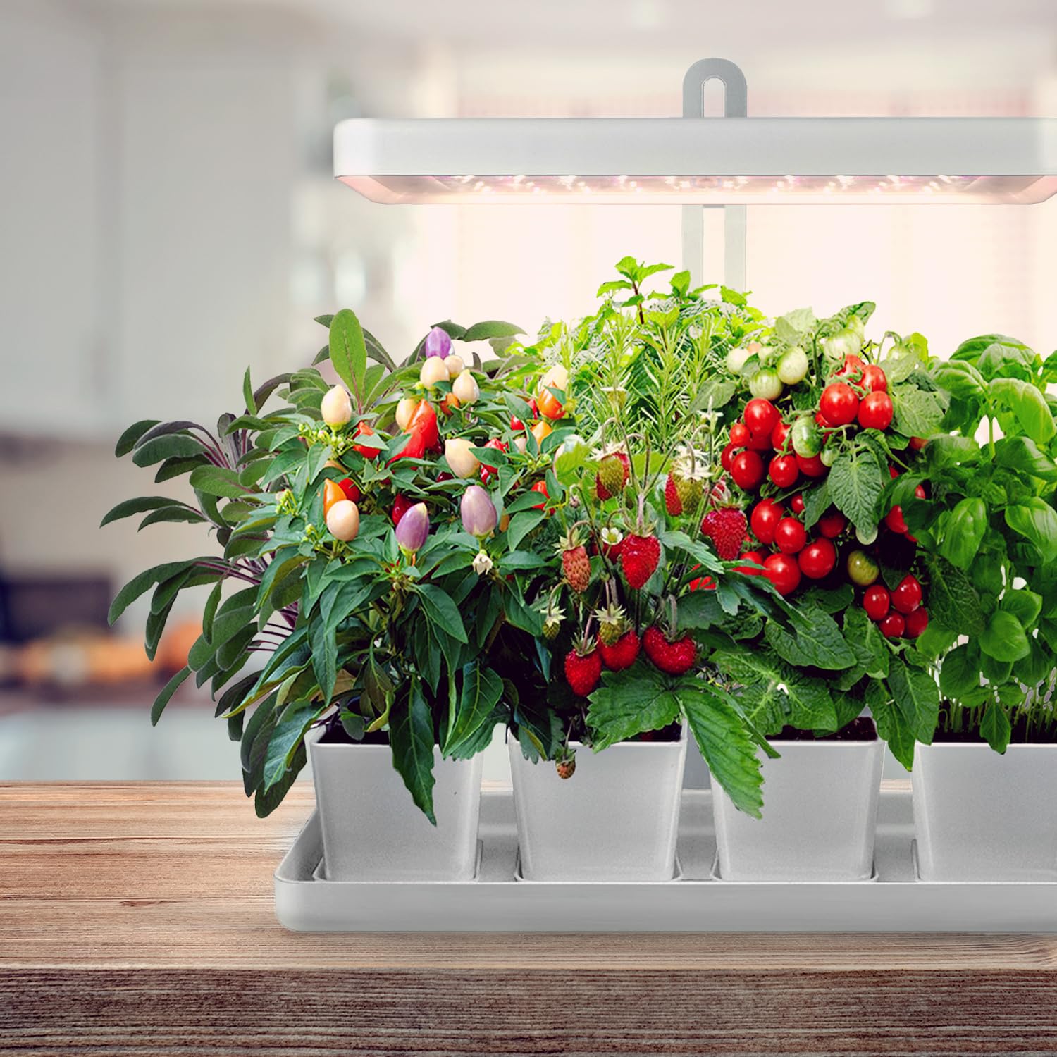 LED BLOOM 20W Pflanzenlampe LED, Vollspektrum Pflanzenlicht für Zimmerpflanzen, Höhenverstellbares LED- PflanzenwacSB-Laden (BLOOM 20W)