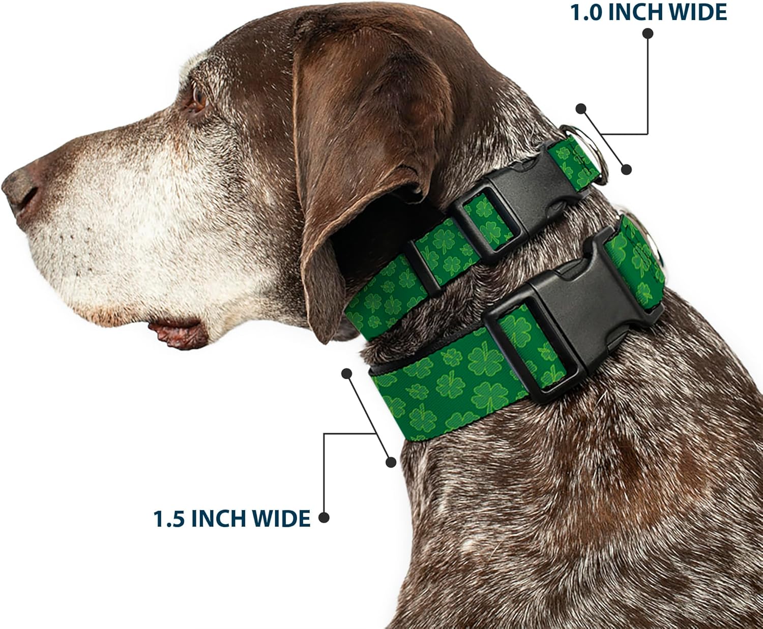 Buckle-Down 13-18" St. Pat'S Clovers Scattered Greens Plastic Clip Collar, Wide Small