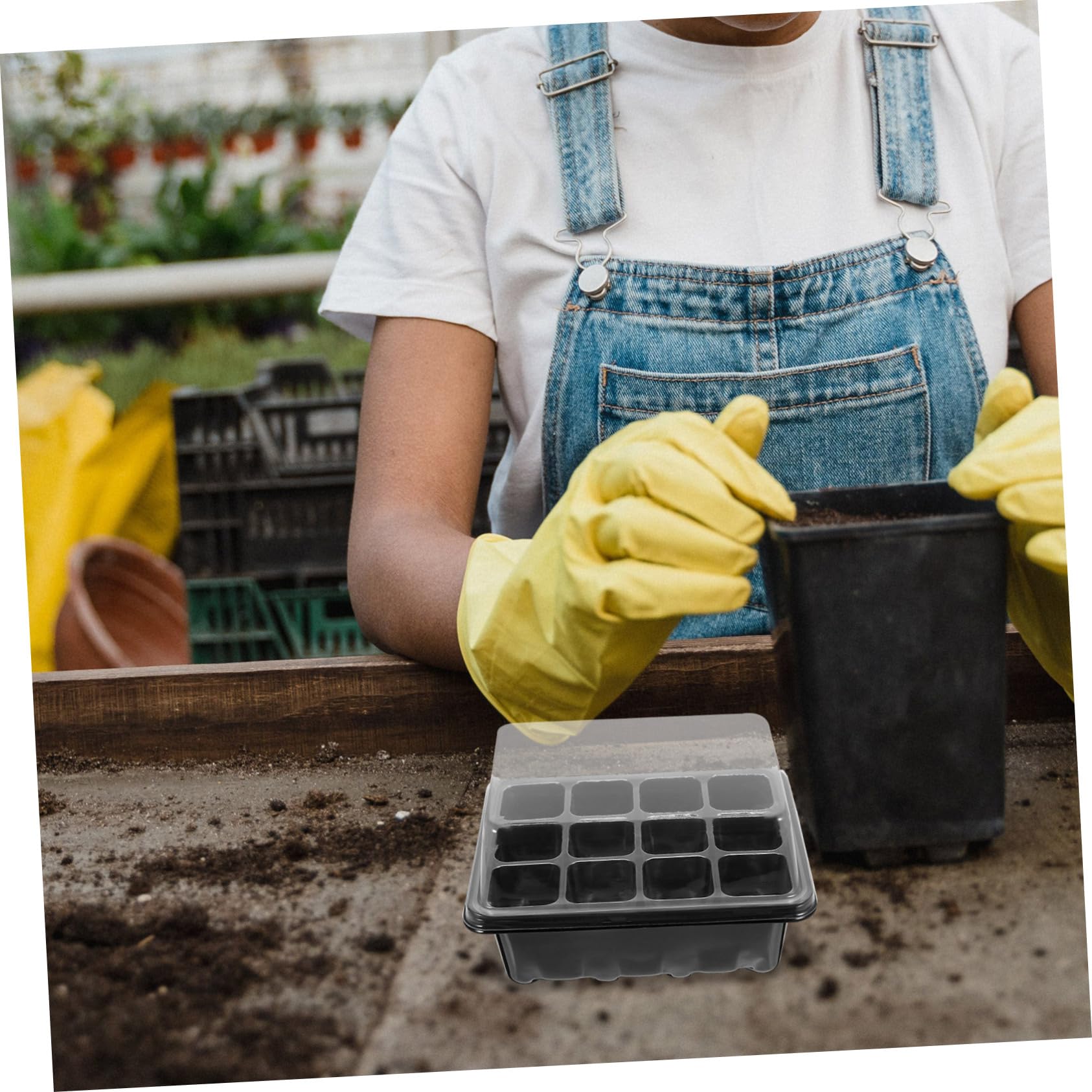 BESPORTBLE 4sets Vassoio Germinazione Per Piante Kit Starter Per Semina Con Etichette Per Giardinaggio Casa e Serra Vassoi Neri Etichette