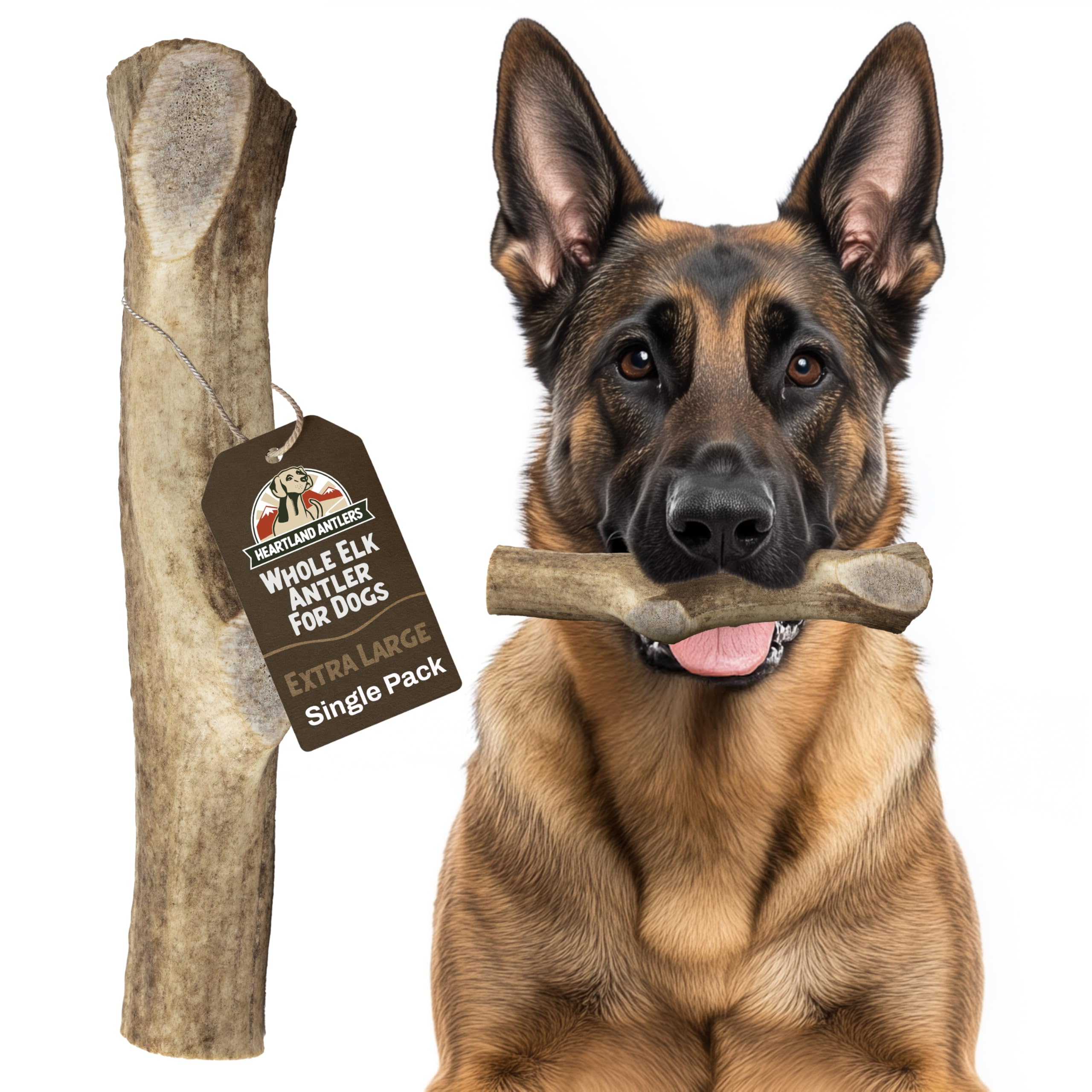 Heartland Elk Antlers for Dogs - Daily Dental Care Chews for Aggressive Chewers to Reduce Plaque & Prevent Destructive Behavior (Splinter Free, Whole, 8+", X-Large, 1-Pack, Grade A, USA Made)