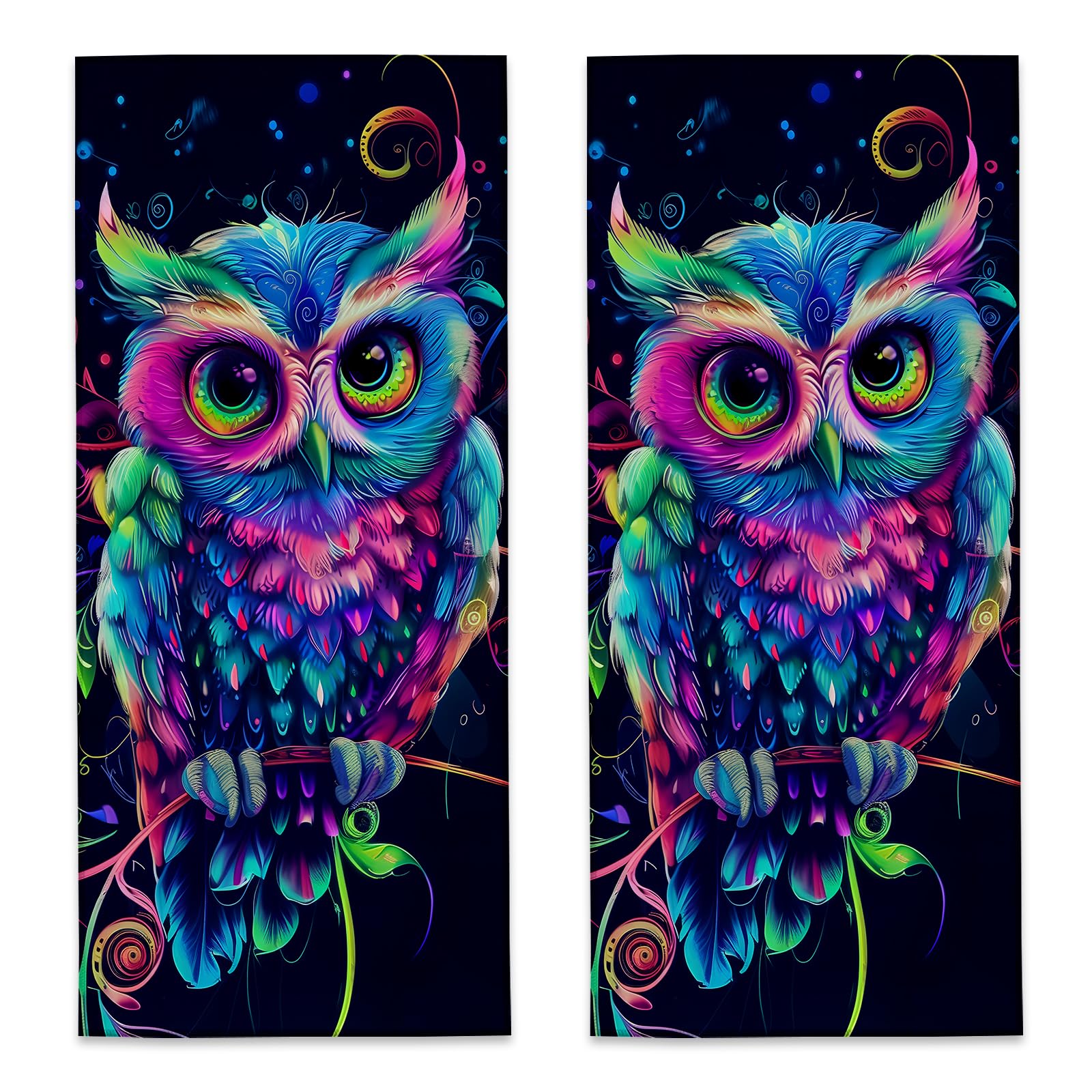 UNDAHIS Pretty Owl Hand Towels 2 Pieces, 14.5×28in Soft Microfiber Multicolor Feathers Design Towels for Home Bathroom Decor, Kitchen Hand Towel for