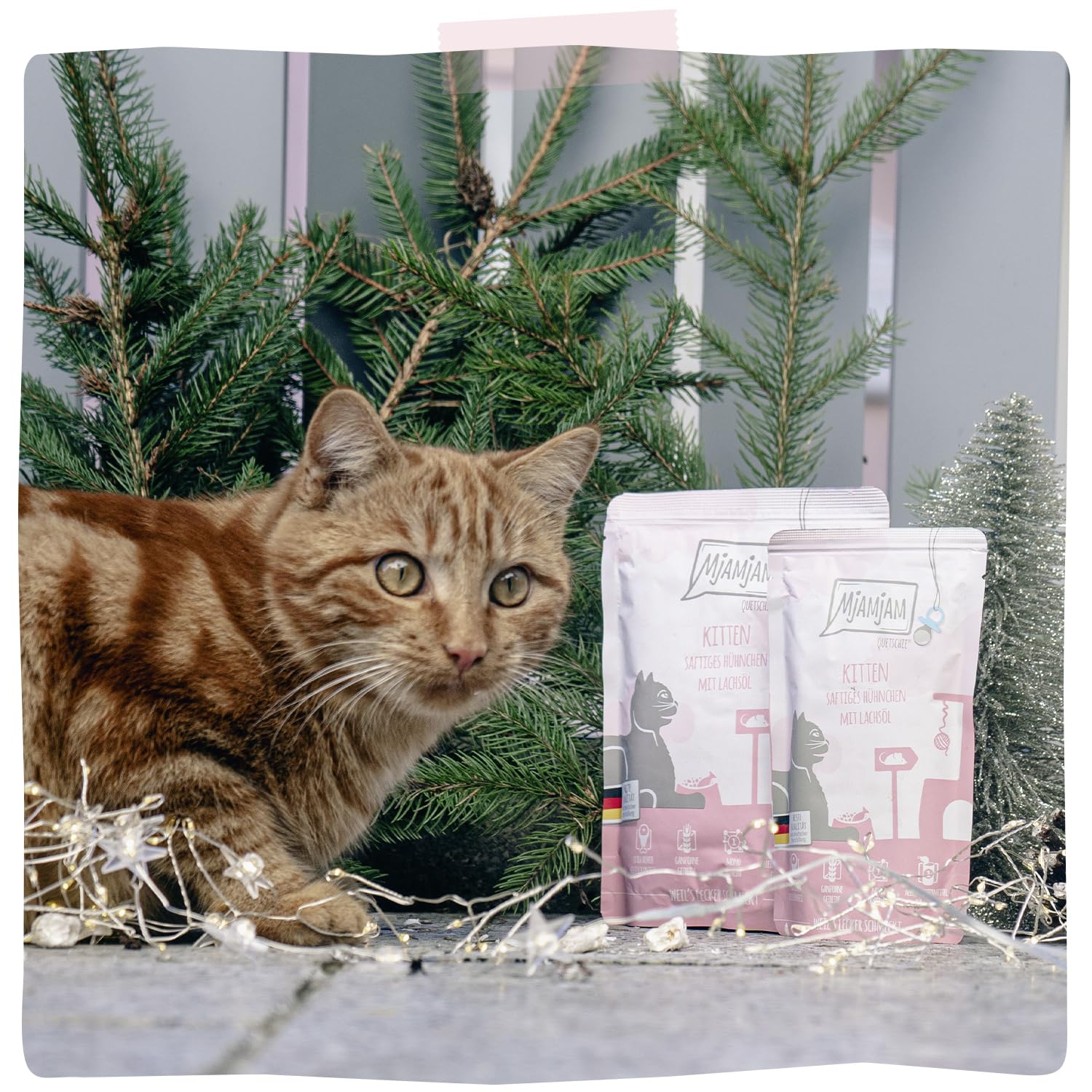 MjAMjAM - nourriture humide premium pour chat - poulet juteux pour chaton à l'huile de saumon, pack de 6 (6 x 400 g), sans céréales avec supplément de viande 2.4 Kilogram