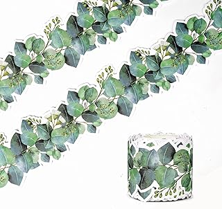 15M Eucalyptus Die-Cut Border Trim Bulletin Board Classroom Border Trim Eucalyptus Themed Border Sticker for Photo Wall Bulletin Boards Desks Display Home and School Decorations Green (1)