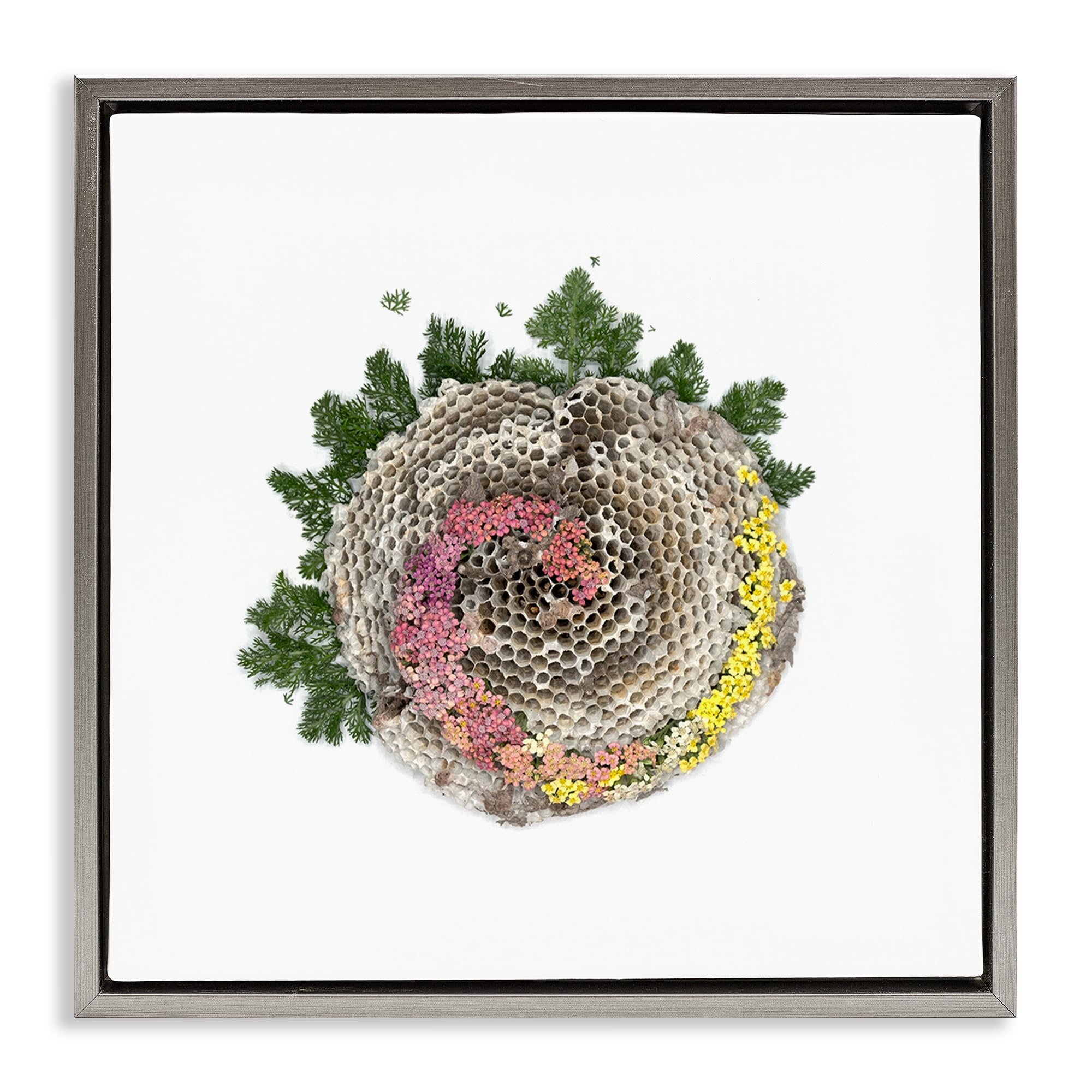 Stupell Industries Luster Gray (Matte) 'Honeycomb With Botanicals'| Floating Frame Canvas Art