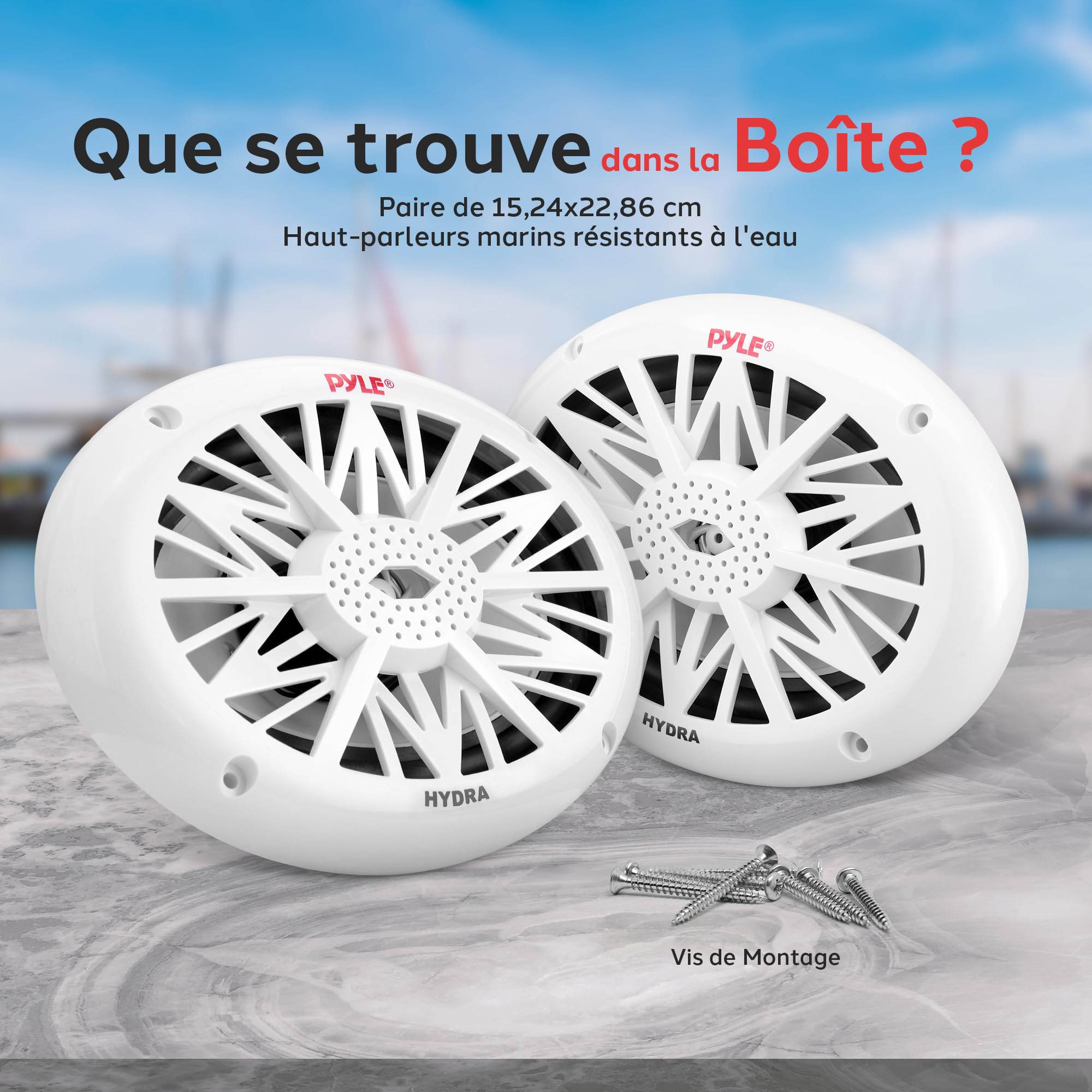 Pyle Haut-Parleurs Marines 6x9 Pouces - Système Audio Stéréo 2 Voies Résistant à l'eau et aux Intempéries avec Puissance de 260 Watts, Cones en Polycarbonate et Entourage en Tissu - 1 Paire
