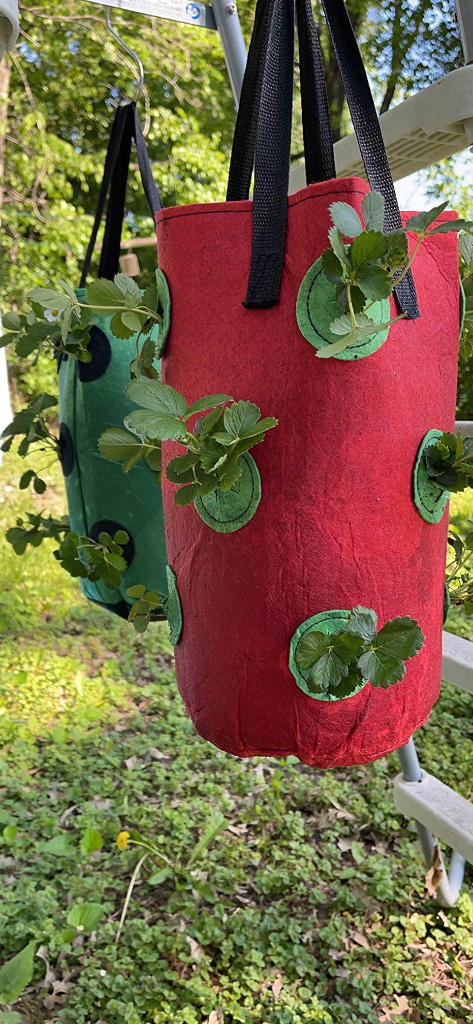 Birheatry multiple bag setup