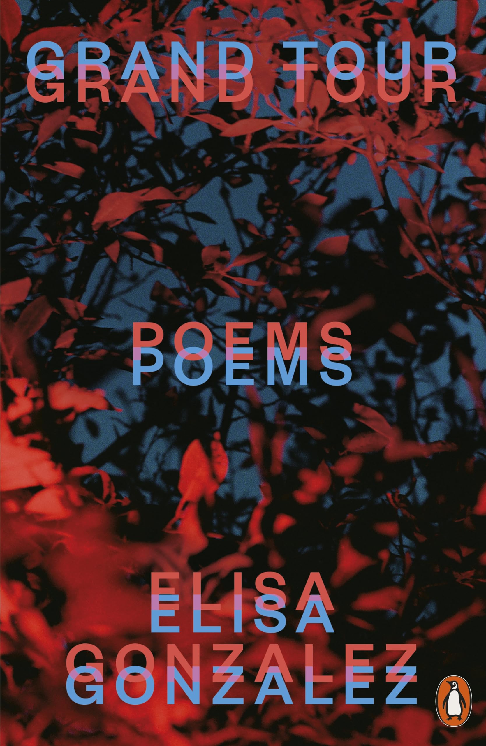 Grand Tour Poems by Elisa Gonzalez (Paperback Book)
