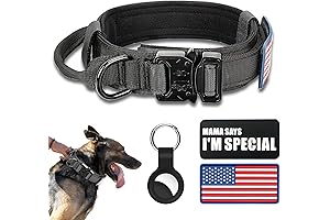 Tactical Dog Collar: Durability for K9 Control