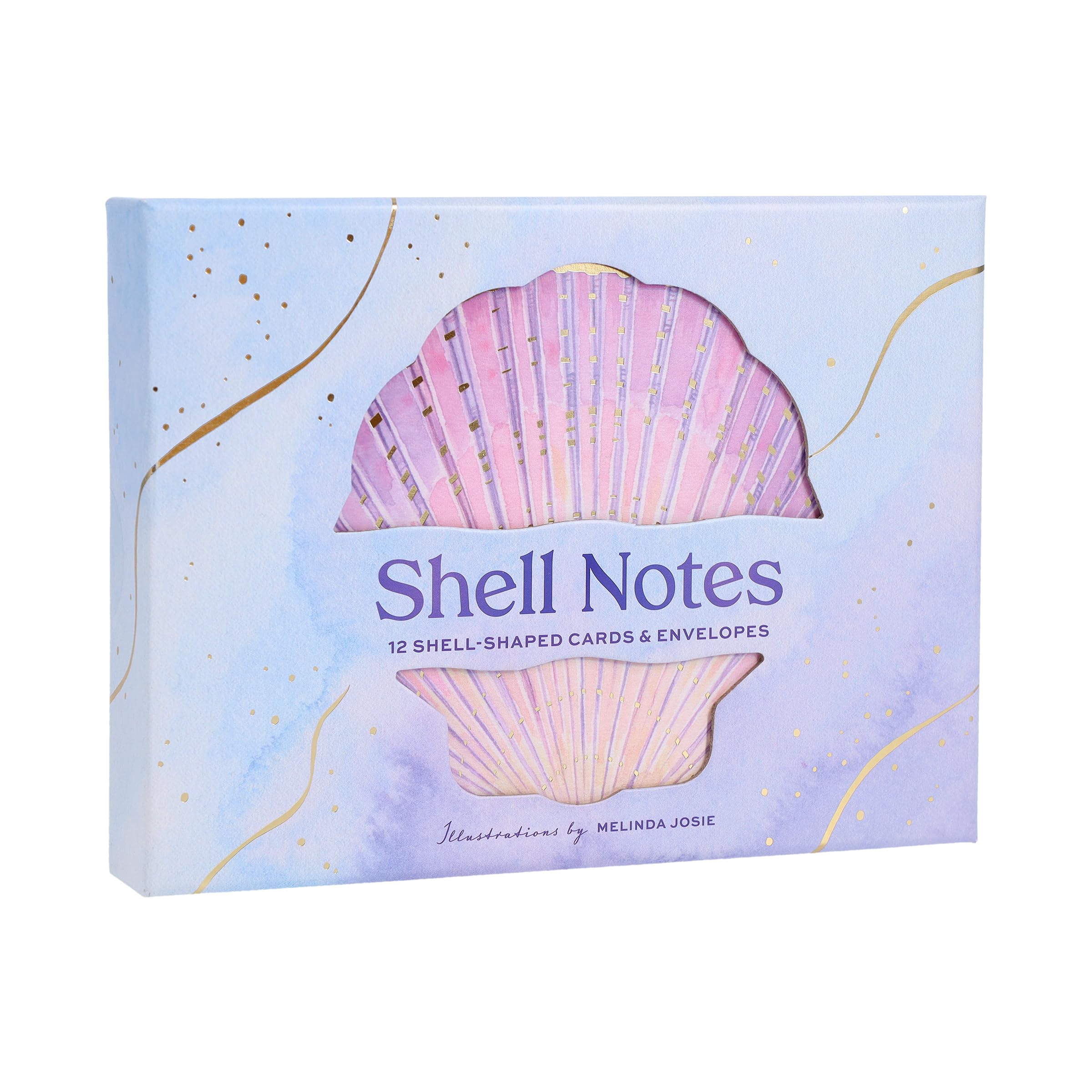Amazon.com: Chronicle Books Shell Notes: 12 Shell-Shaped Cards