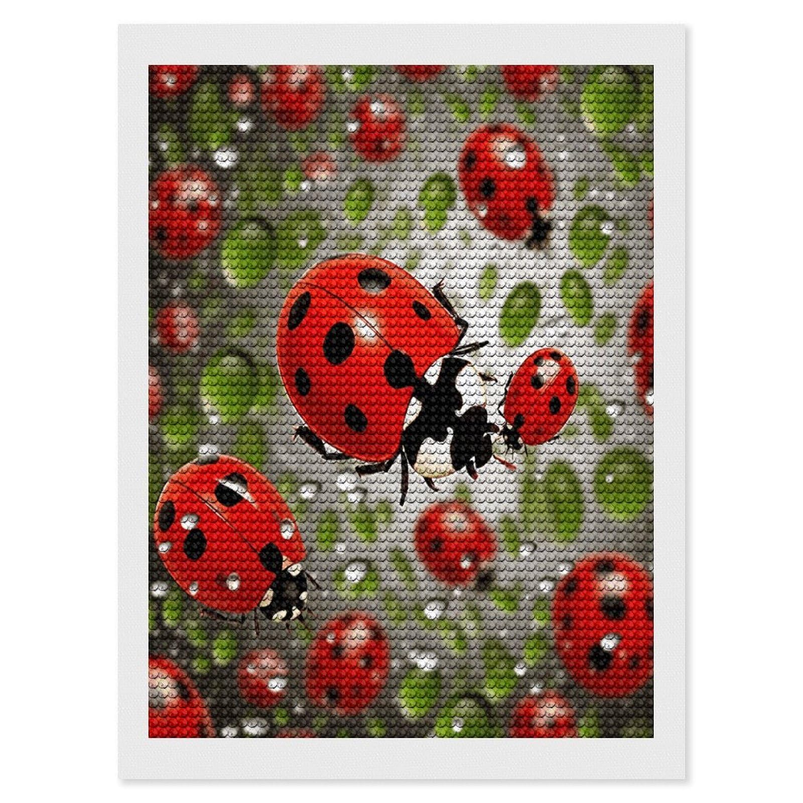 VstaDank Ladybug Diamond Painting Kits Exquisite DIY Full Round Drill Diamond Dots Painting for Adults Beginner Diamond Photo Paint with Diamond Picture Art Wall Decor 12"x16"