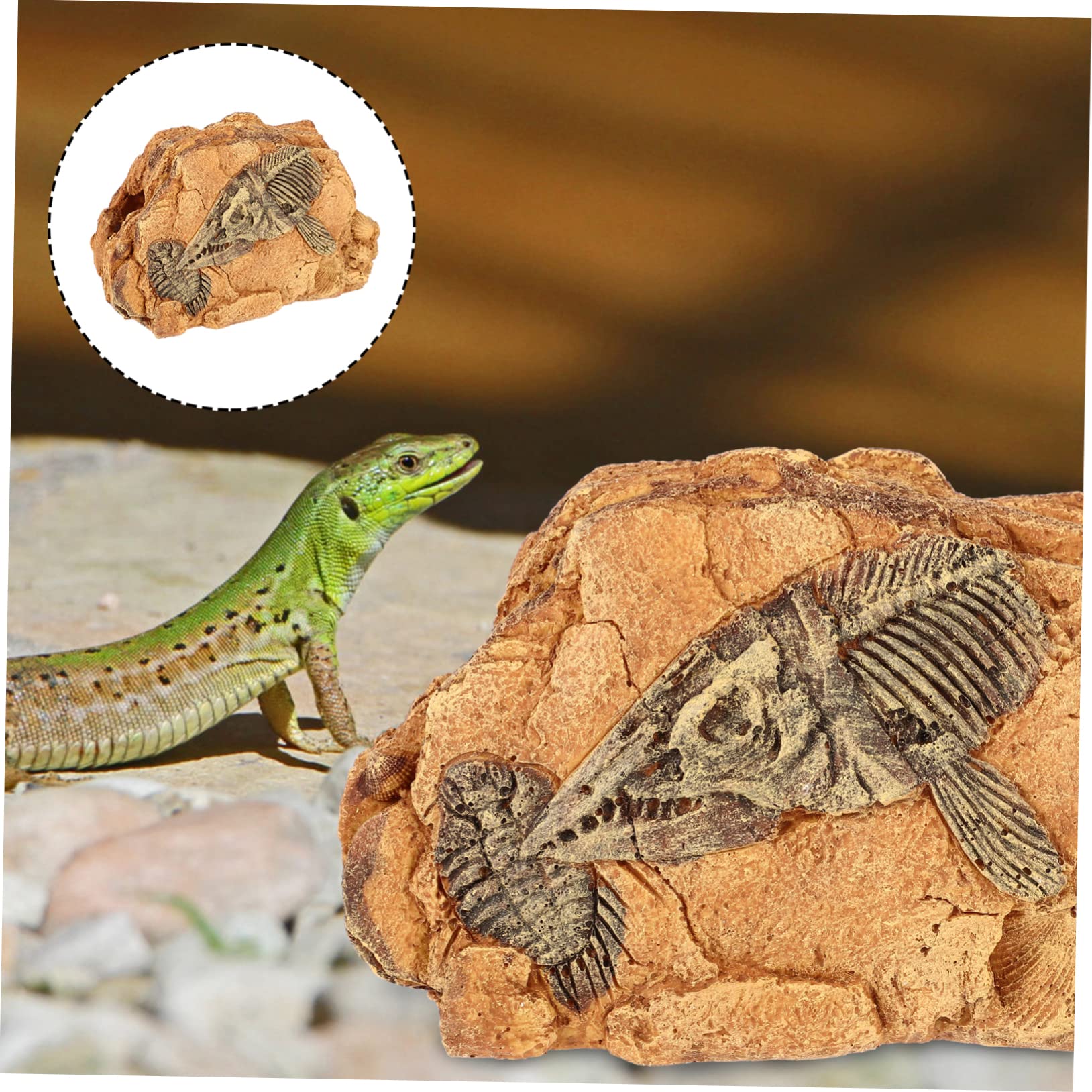 Plataforma De Reptiles Cueva Oculta para Refugio Natural De Resina para Tortugas y Serpientes Decoración De Estable y Duradera