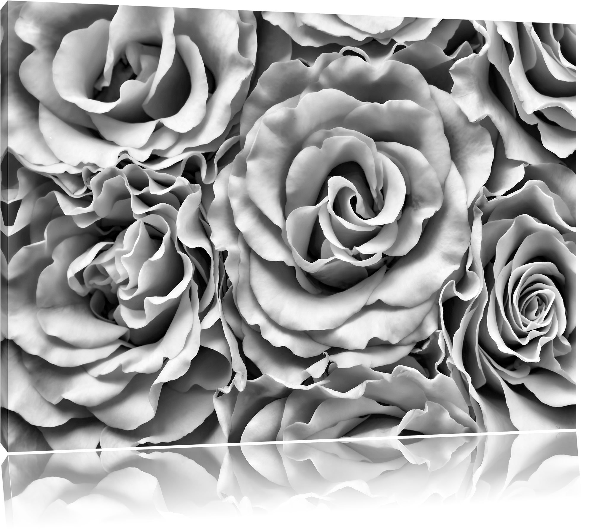 Pixxprint Sottosopra Petali di Rosa Delicata Stampa su Tela Artistica