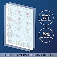 Vista 2 de Palace Learning 2 Pack - Anatomy and Injuries of The Knee & Hip Poster Set - Anatomical Chart Set - Laminated 18" x 24