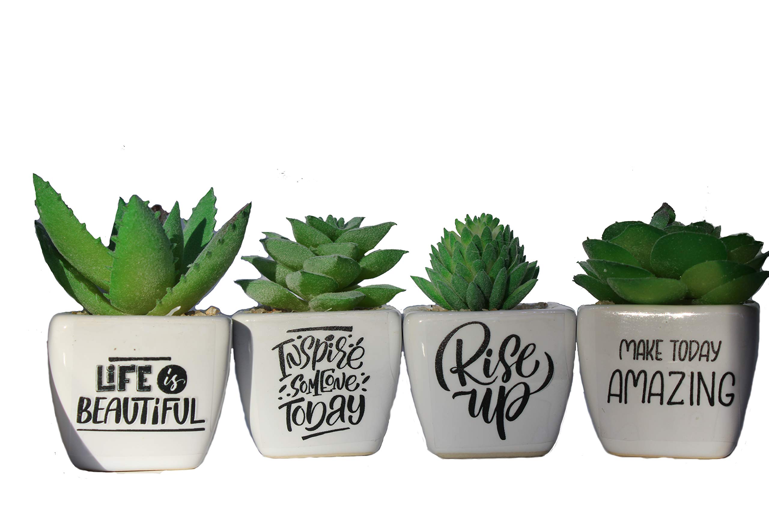 Oospecka DesignsMotivational & Inspirational Mini Fake Succulent Plants in White Ceramic pots- Set of 4