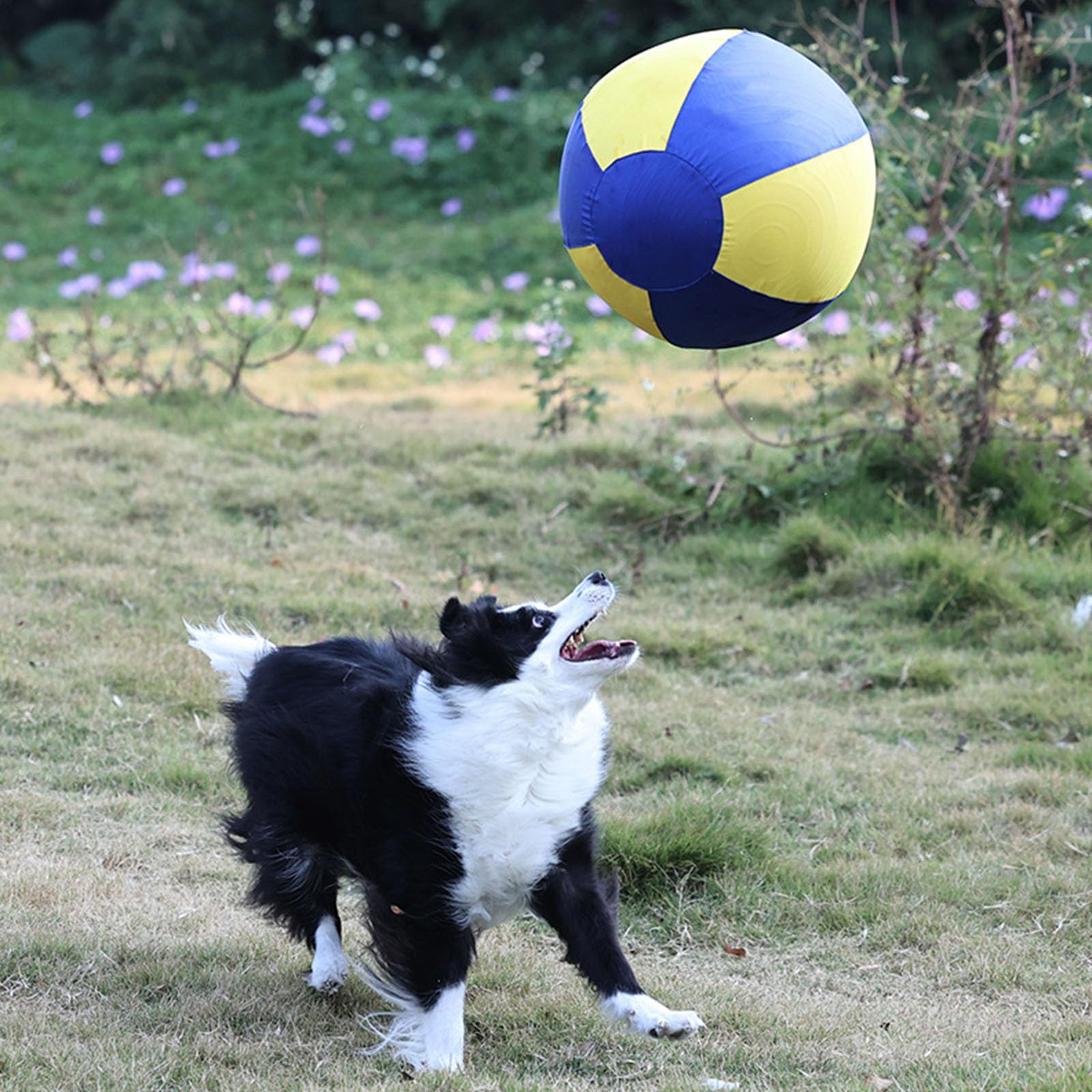Pelota inflable grande para perros, juguete de entrenamiento interactivo, alivia el aburrimiento, juguete para mascotas, juguete de entrenamiento