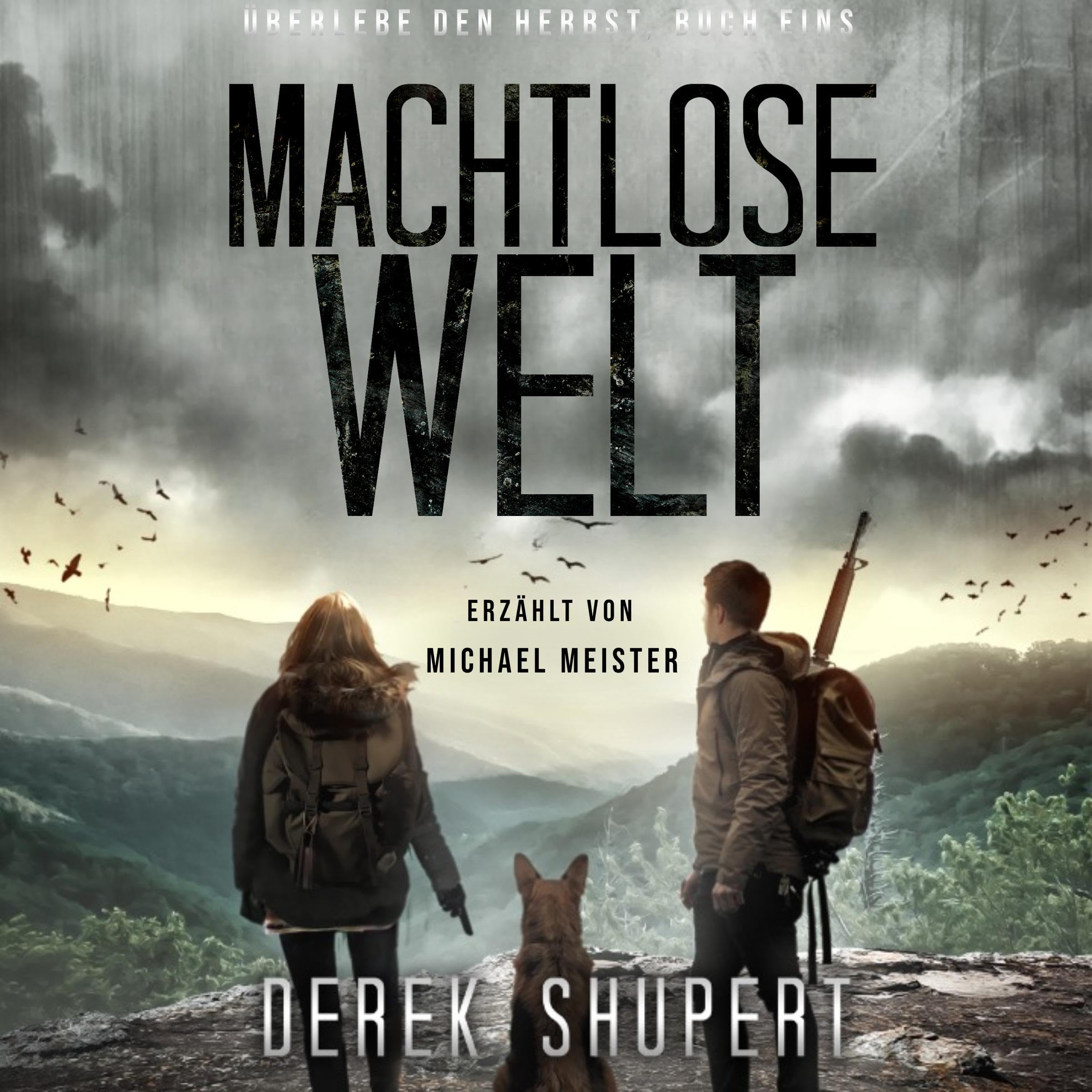 Cover art for Machtlose Welt