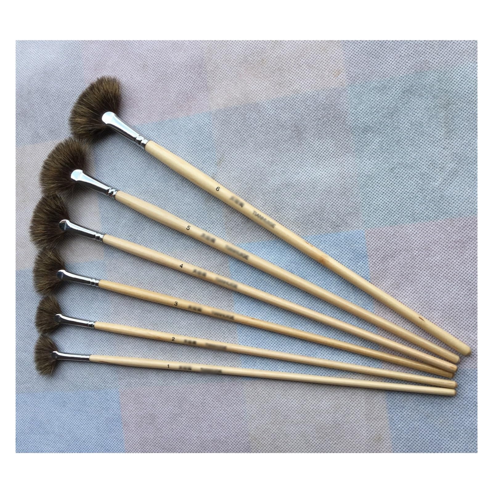 Ensemble de pinceaux pour Aquarelle et Peinture à l'huile en Forme d'éventail avec 6 stylos d'art (Beige comme illustré)