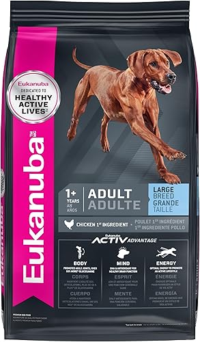 Eukanuba Adult, alimento seco para perro adulto, Negro