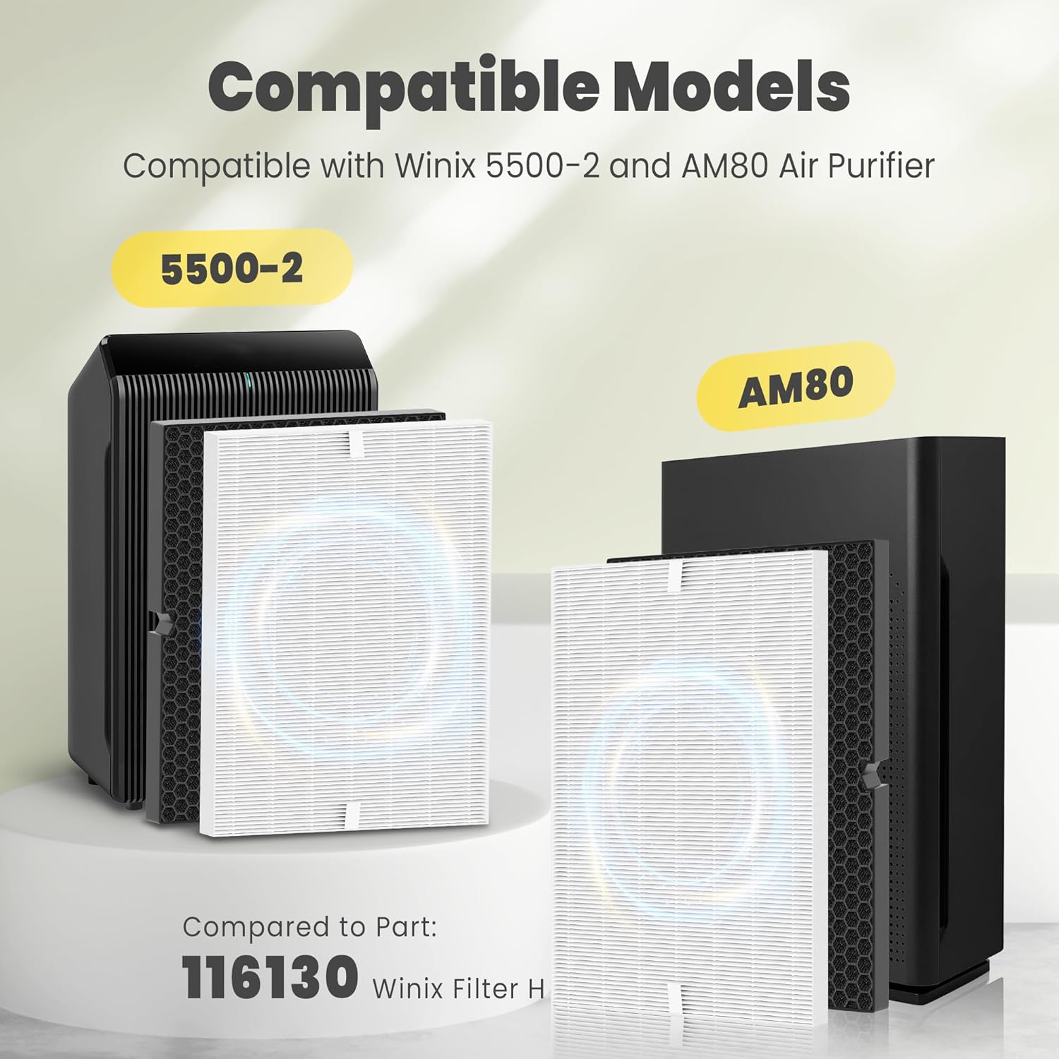 116130 Replacement Filter H for Winix 5500-2 AM80 Plasmawave Air Purifier, Includes 2 Pack True HEPA Filter and 2 Pack Activated Carbon Filter 4