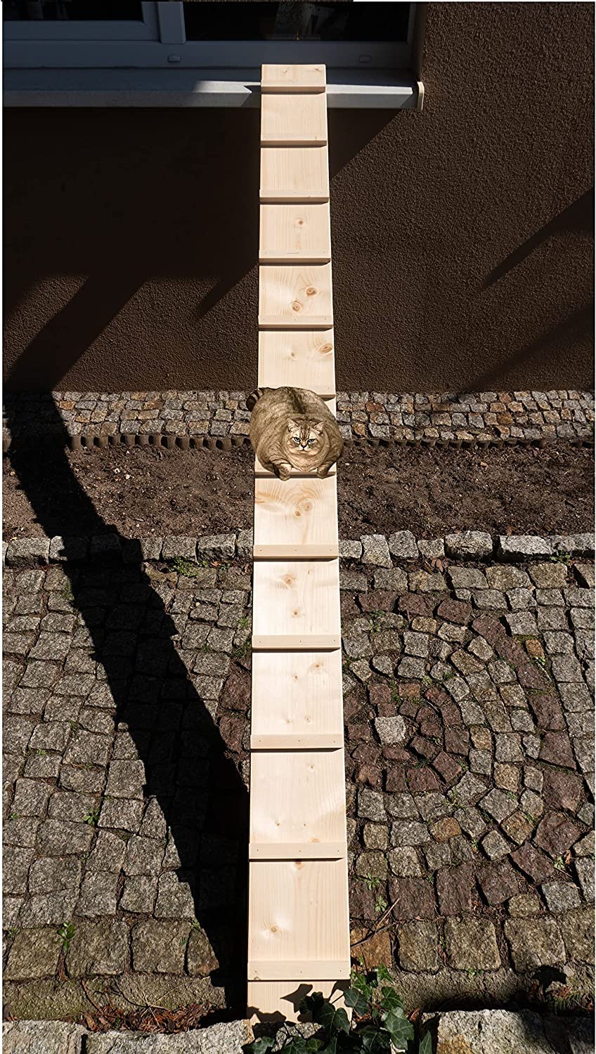 Katzenleiter Katzentreppe Katzenstufe für Balkon Treppe 1m mit Klemmen