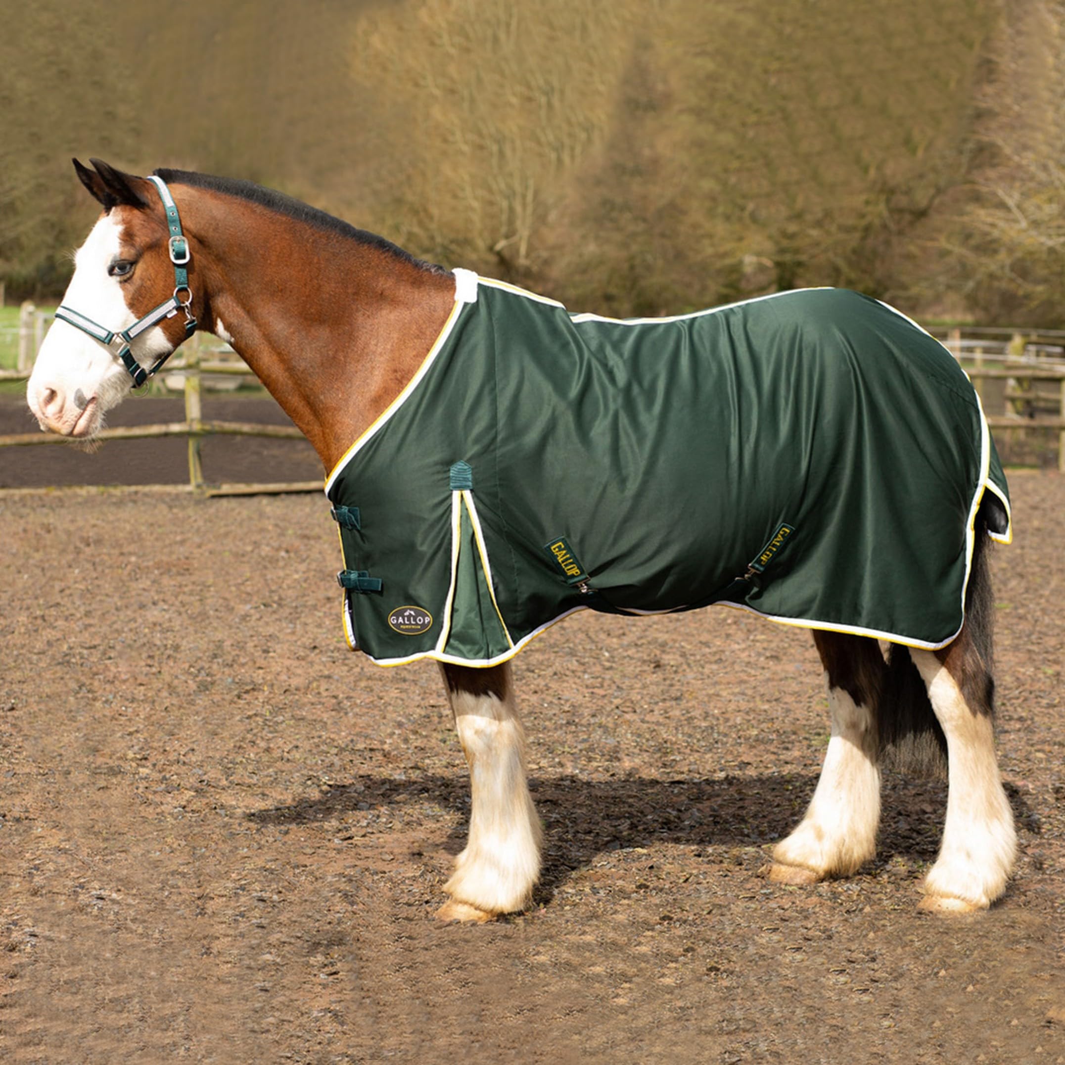 Gallop Cotton Summer Sheet For Horse Pony Equestrian (5'6", Green)
