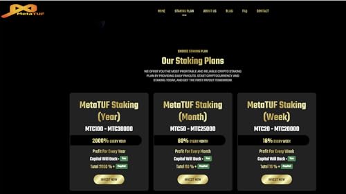 MetaTUF-Invest,Stake,Profit