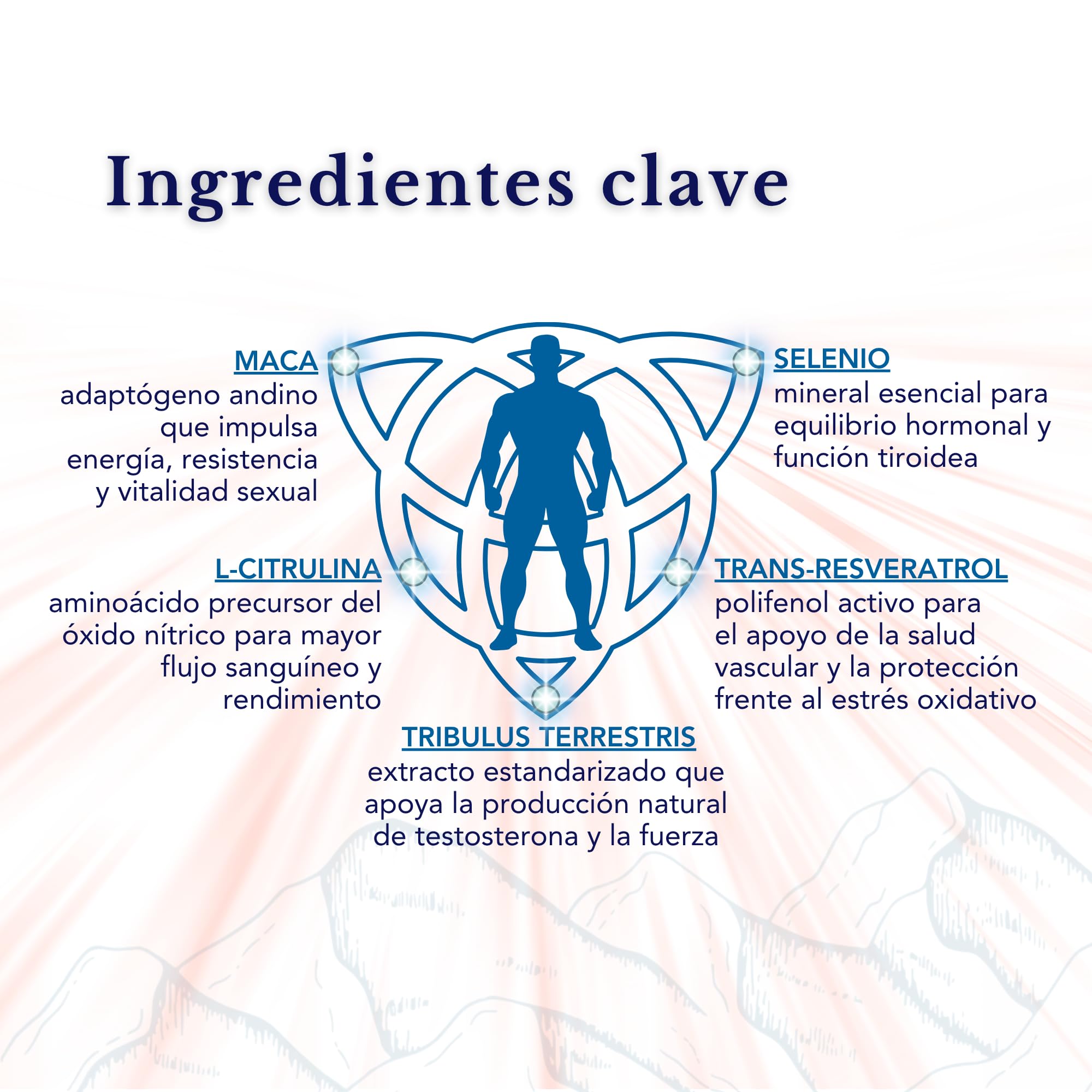 Gestión de la Vitalidad Masculina – Tribulus, L‑Citrulina - L-Arginina, Maca, Trans-Resveratrol y Selenio – sin OGM | Sinergia avanzada para energía y bienestar masculino I 28 Dosis Diarias