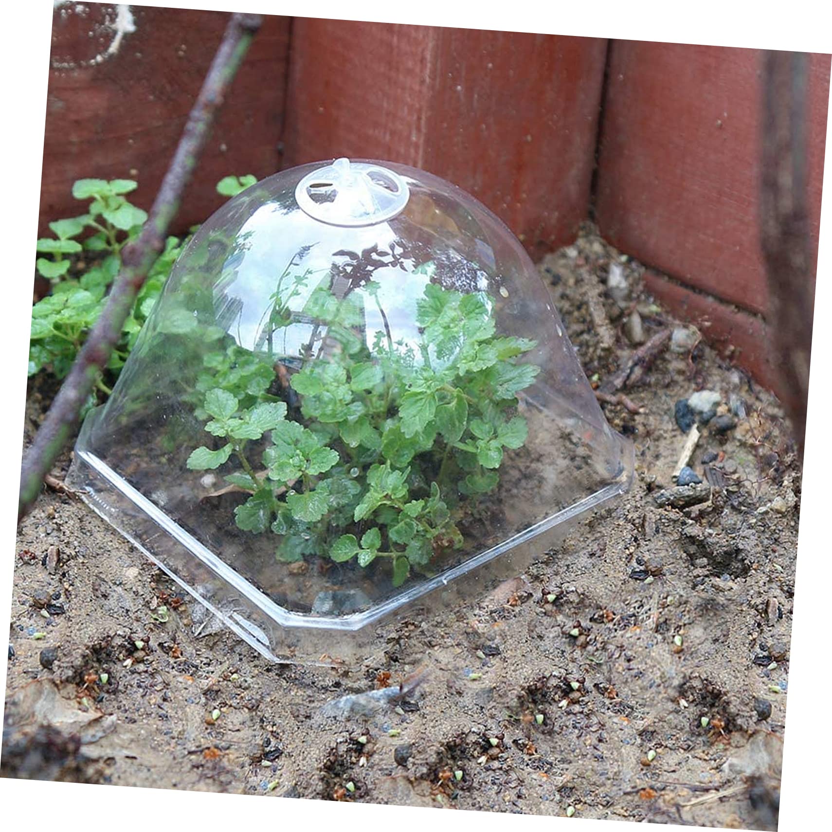 Cabilock Flower Pot Cover Round Planter Outdoor Planters Clear Container Plant Bell Cloche Mini Greenhouse Humidity Domes for Plants Plastic Plant Cover Protective Cover