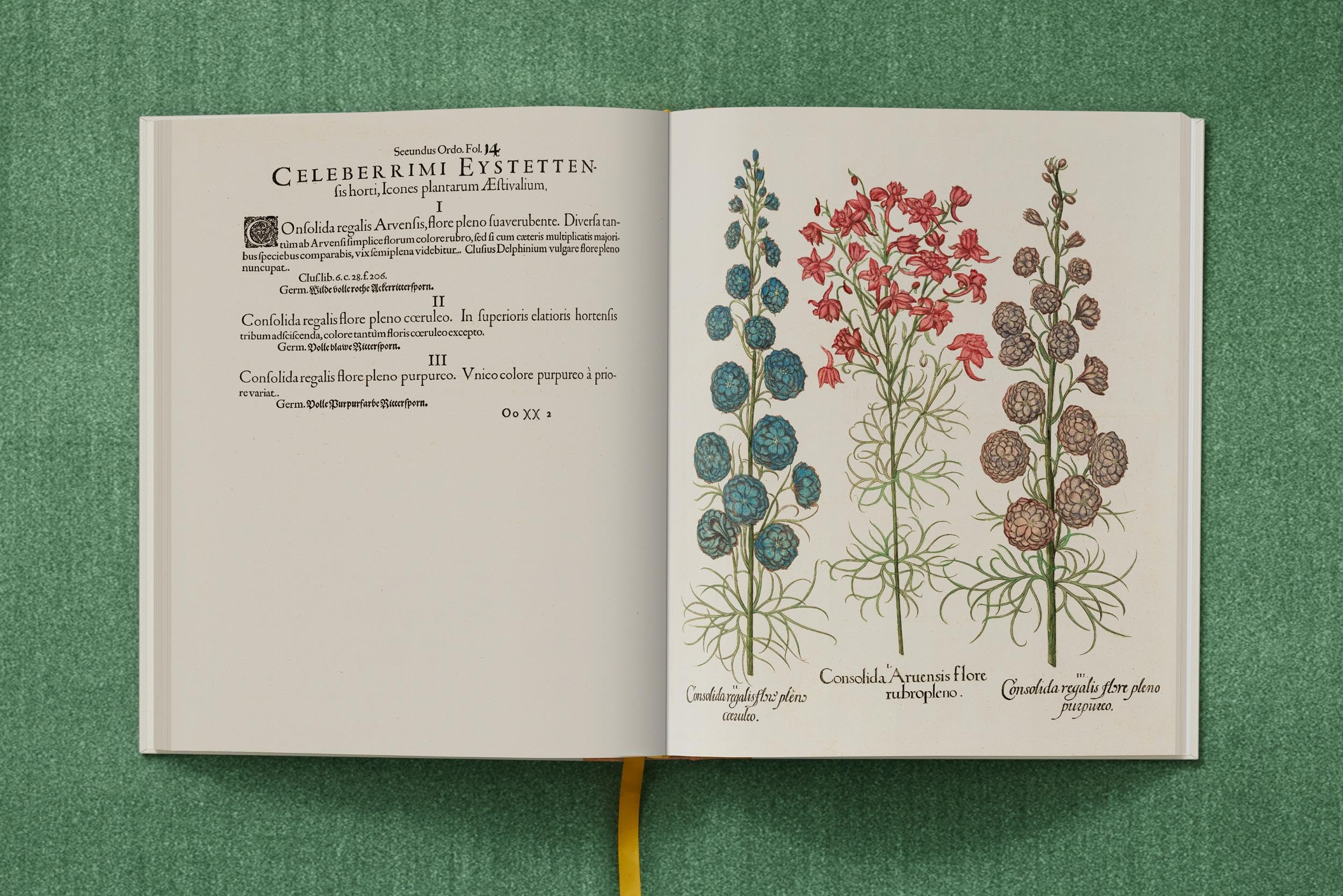 Basilius Besler: The Garden at Eichstätt: 1-3
