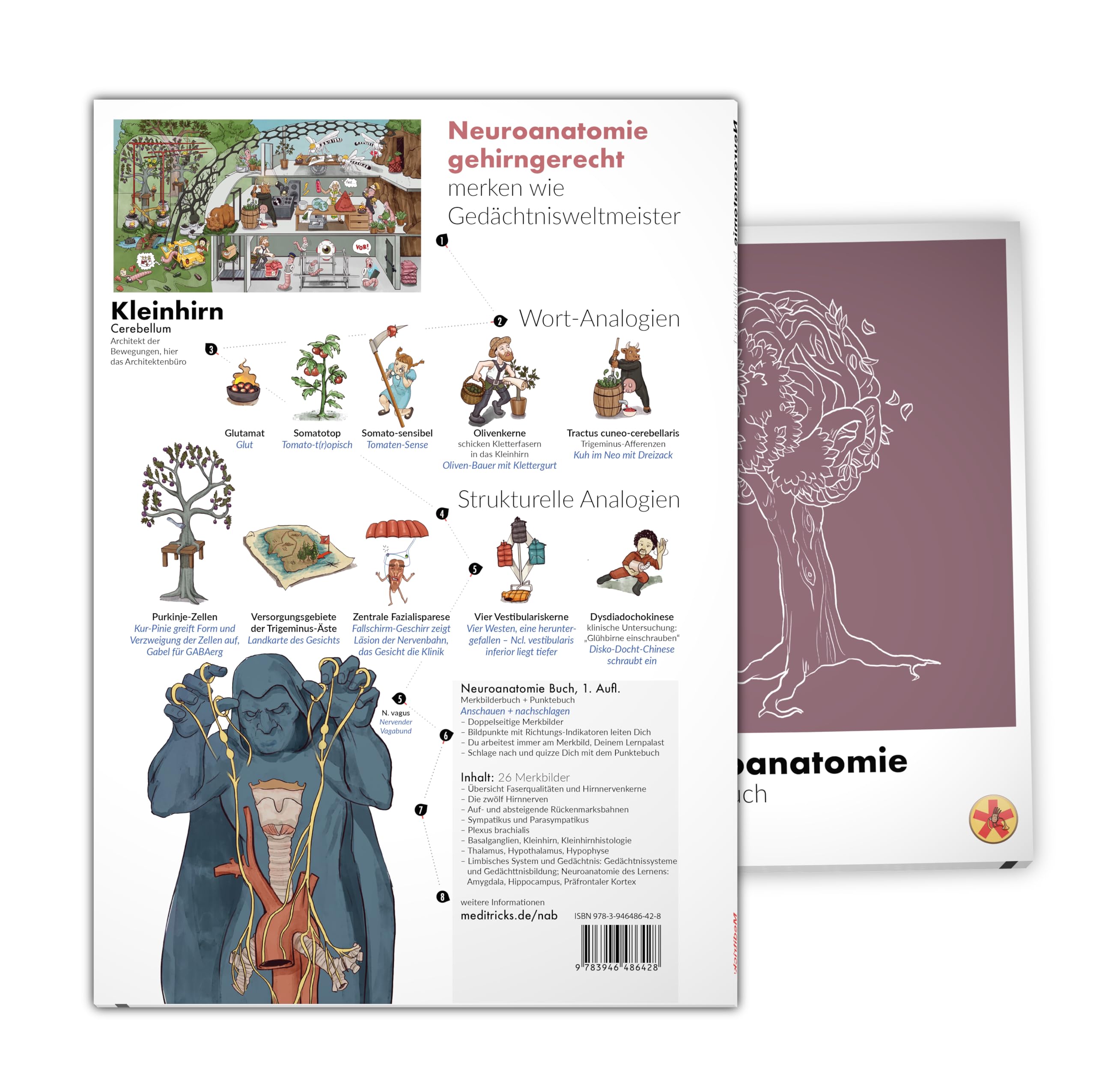 Meditricks Neuroanatomie: Merkbilderbuch + Punktebuch (Meditricks Vorklinik)