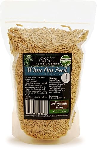 Miniatura 7 de Semilla de avena blanca de Eretz (25 libras)  Elige el tamaño! Granos de avena cultivados en Oregon, certificados por el estado, sin rellenos, sin