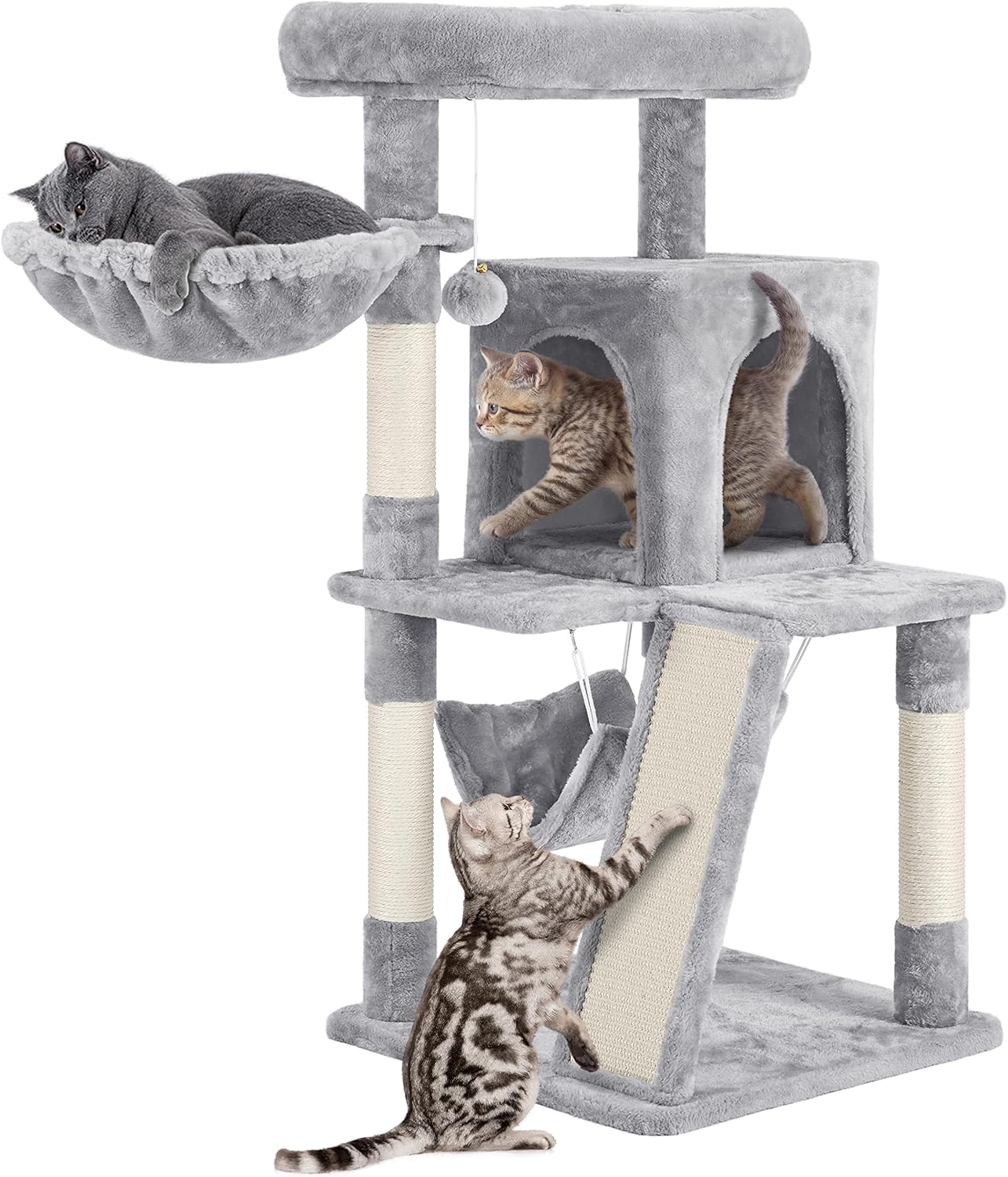 cat condominium