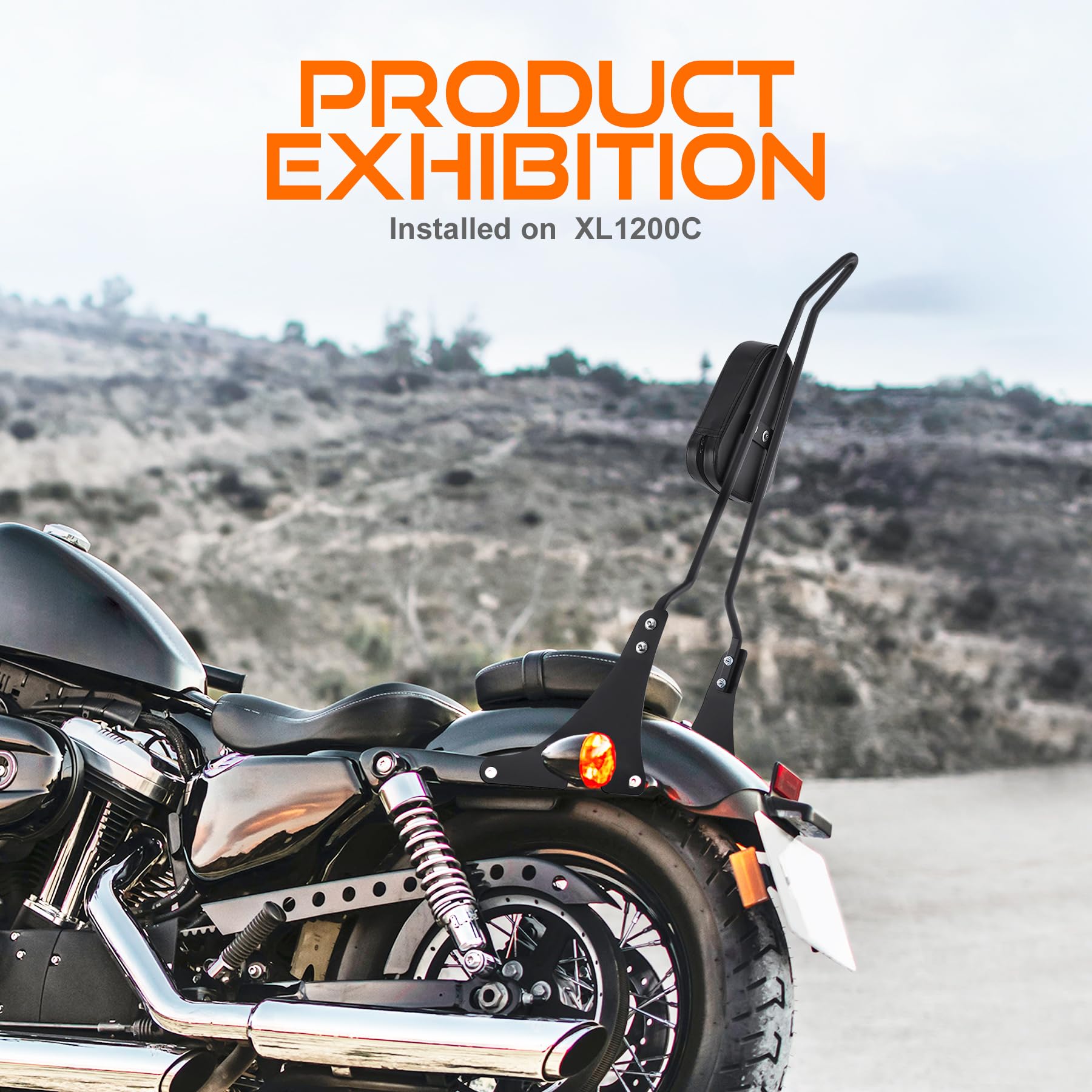 Schienale Sissy Bar Adatto Per Harley Davidson Softail Low