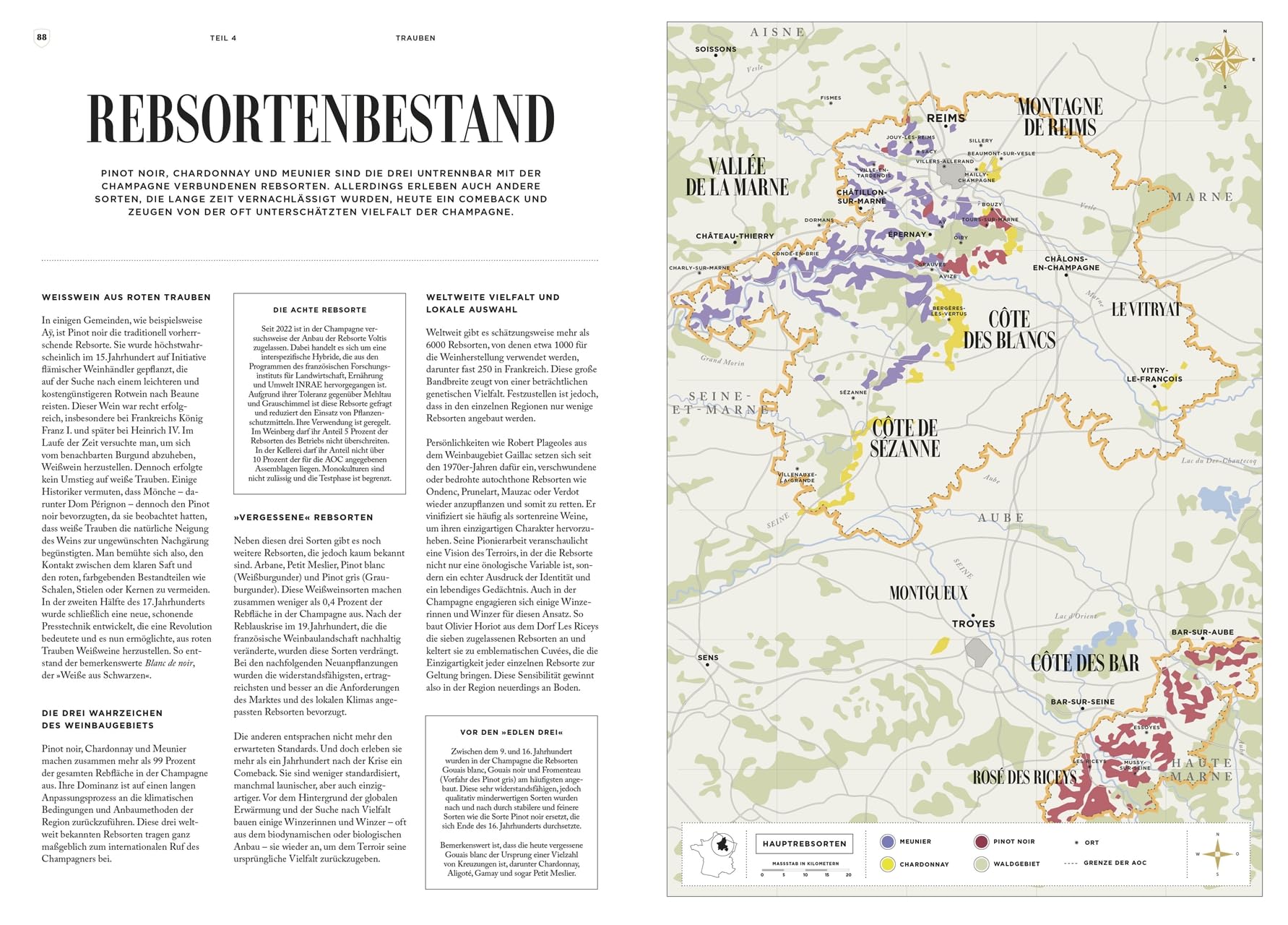 Champagner: Alles Wissenswerte über das edelste Getränk der Welt. Hochwertig ausgestattetes Champagner-Buch für Genussmenschen