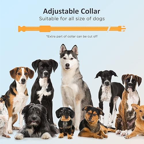 Miniatura 7 de PATPET Collar de choque para perros con control remoto, collar de entrenamiento impermeable para perros pequeños, medianos y grandes con pitido,