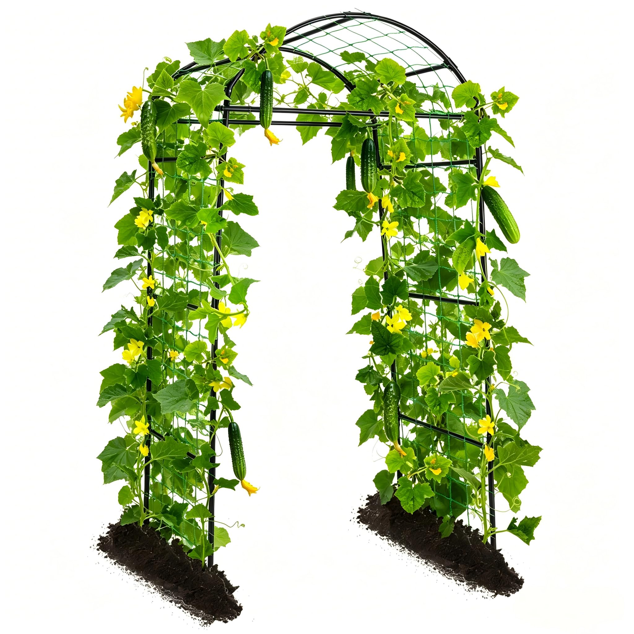 Gurken Rankhilfe Gartenbogen für Kletterpflanzen Rankhilfen, Metall Rostfrei Rankhilfe für Pflanzenspalier für Tomaten, Gemüse Rankgitter Blumen Kletterpflanzen Schwarz