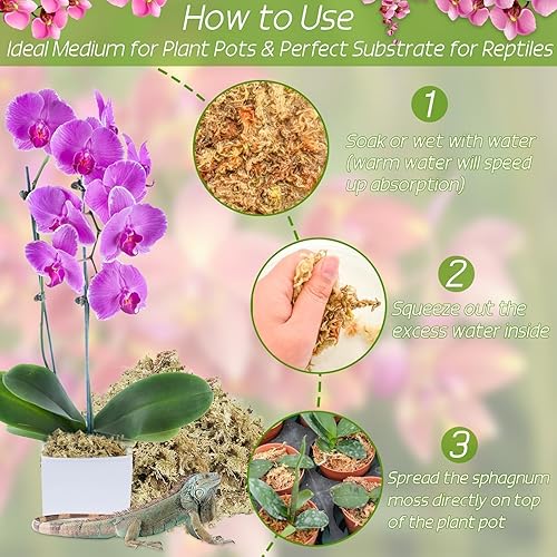 Miniatura 3 de ZeeDix Musgo esfagnum prémium de 2.2 libras para plantas, 40 cuartos de galón, musgo largo de fibra de esfagno, musgo esfagno, orquídea carnívora,