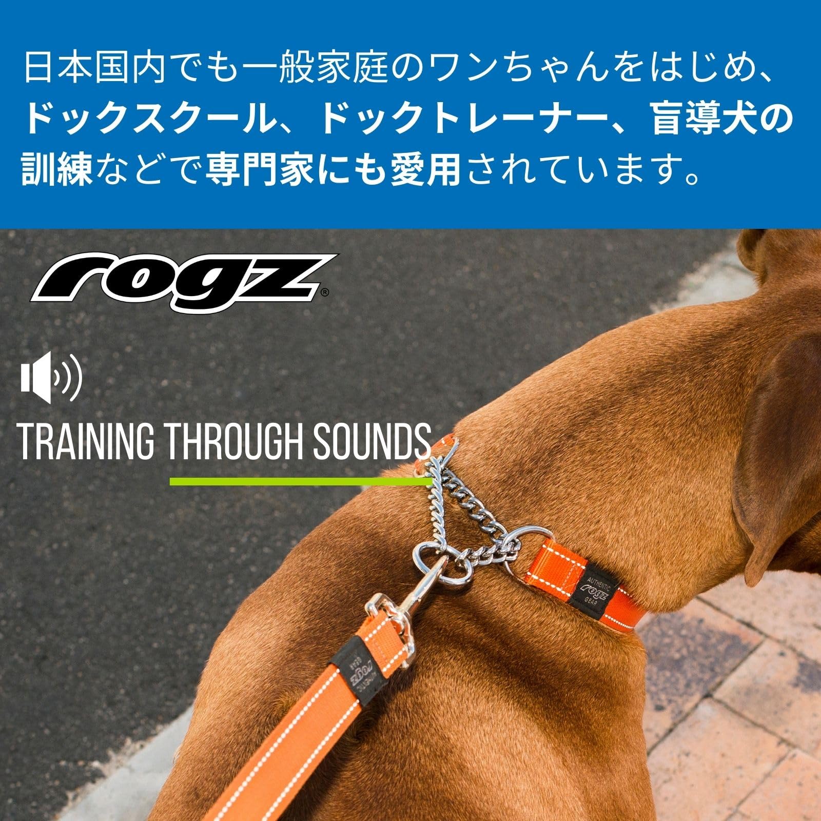 Amazon | ROGZ(ログズ) UTILITY 犬用ハーフチェーン首輪 大型犬 (XL