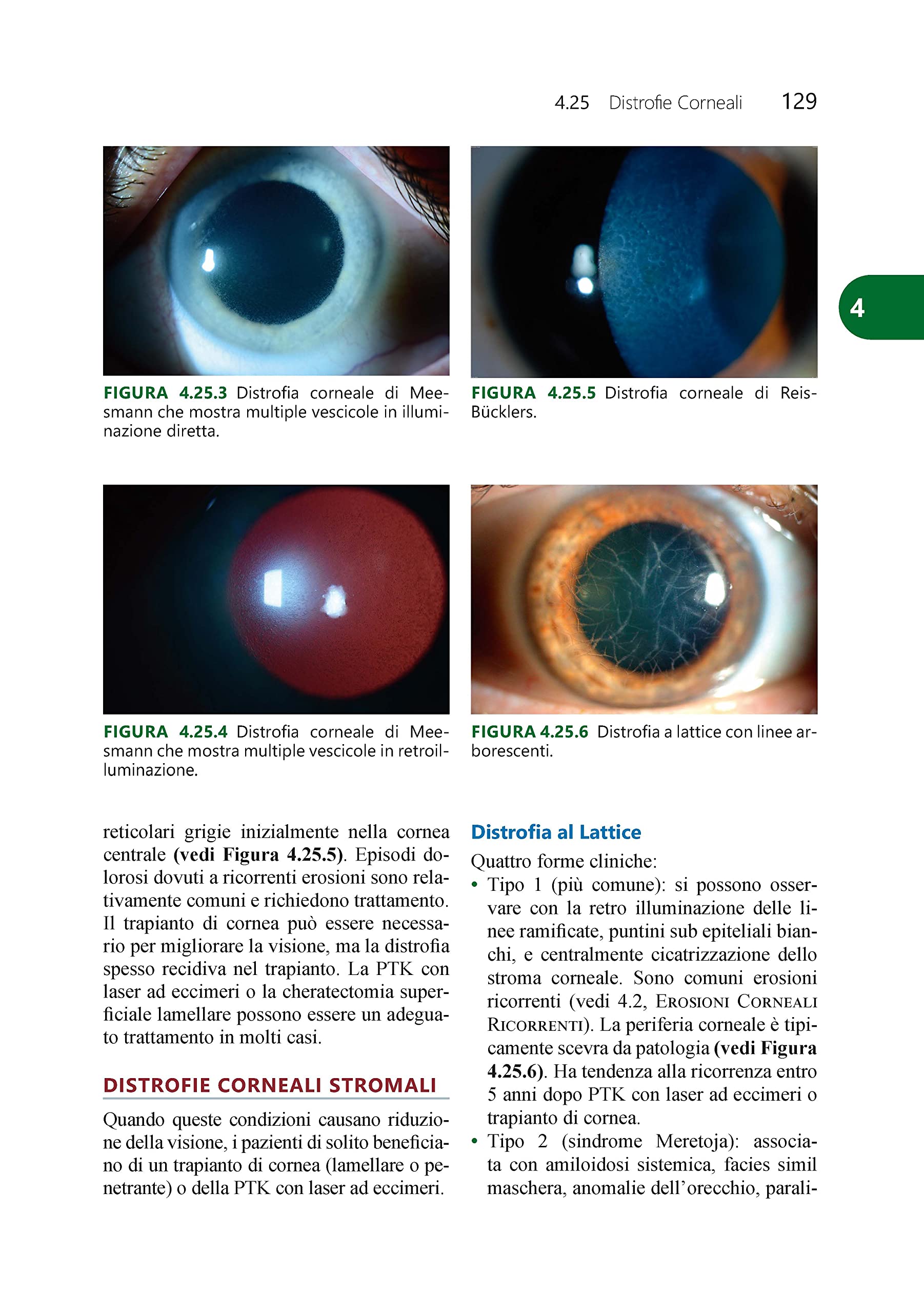 Wills eye. Il manuale. Diagnosi e trattamento delle malattie oculari in ambulatorio e pronto soccorso