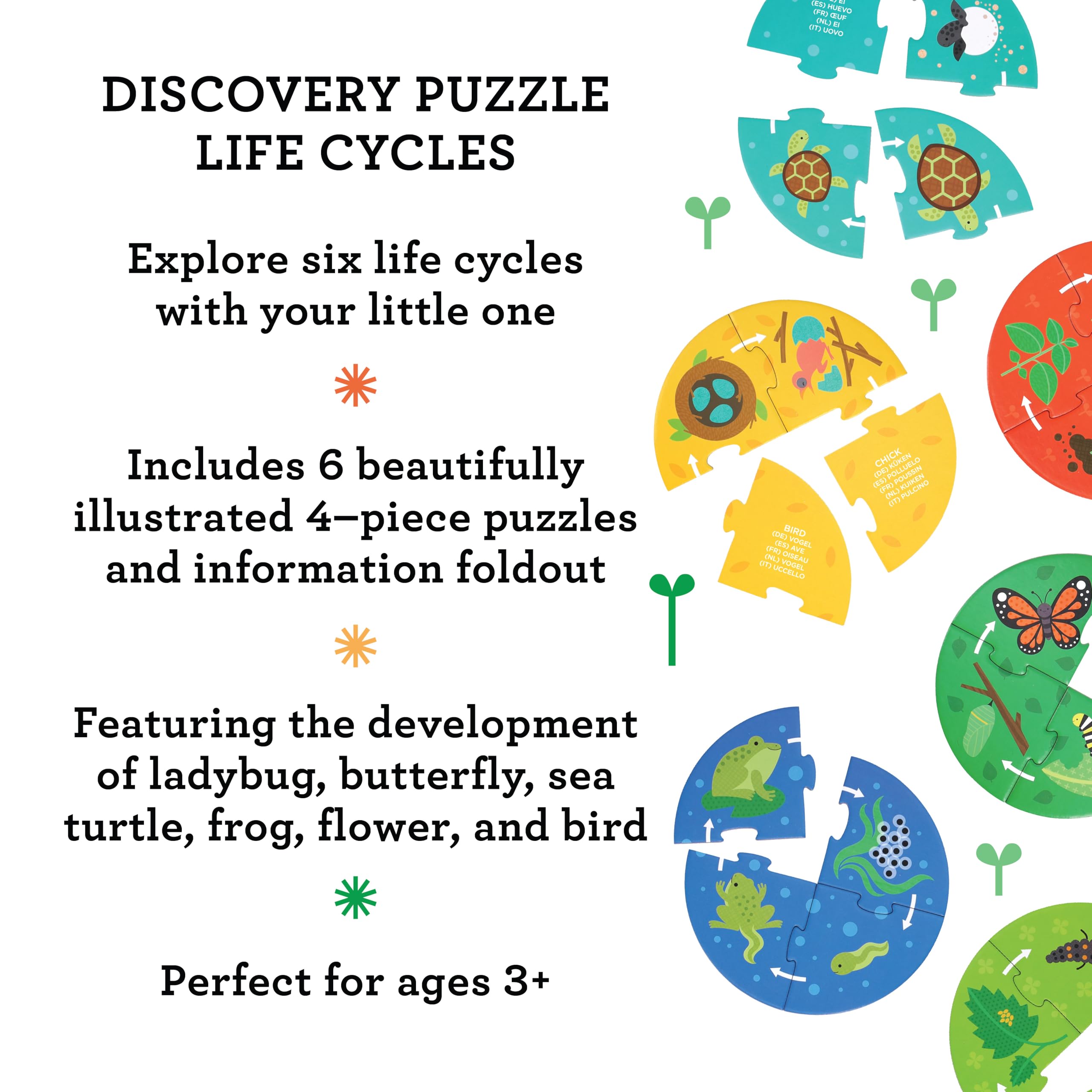 Petit Collage: Discovery Life Cycle Mini Puzzles - Contains 6 Mini Puzzles with 4 Pieces Each and Multi-Language Info Sheet - Show Life Cycle for Different Animals - Great Gift for Children 3+ - Image 2