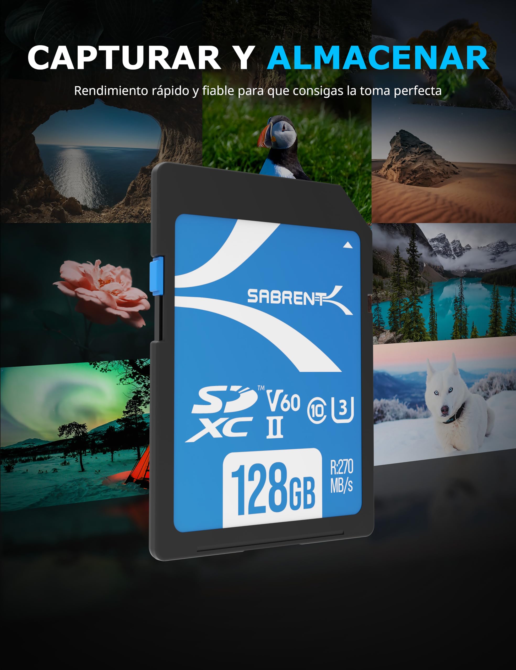 SABRENT Tarjeta de Memoria SD 128GB | SDXC UHS-II | Velocidades hasta 270 MB/s de Lectura | Clase 10, U3, V60 para fotógrafo Profesional, camarógrafo y Vlogger | Full HD/4K [SD-TL60-128GB]