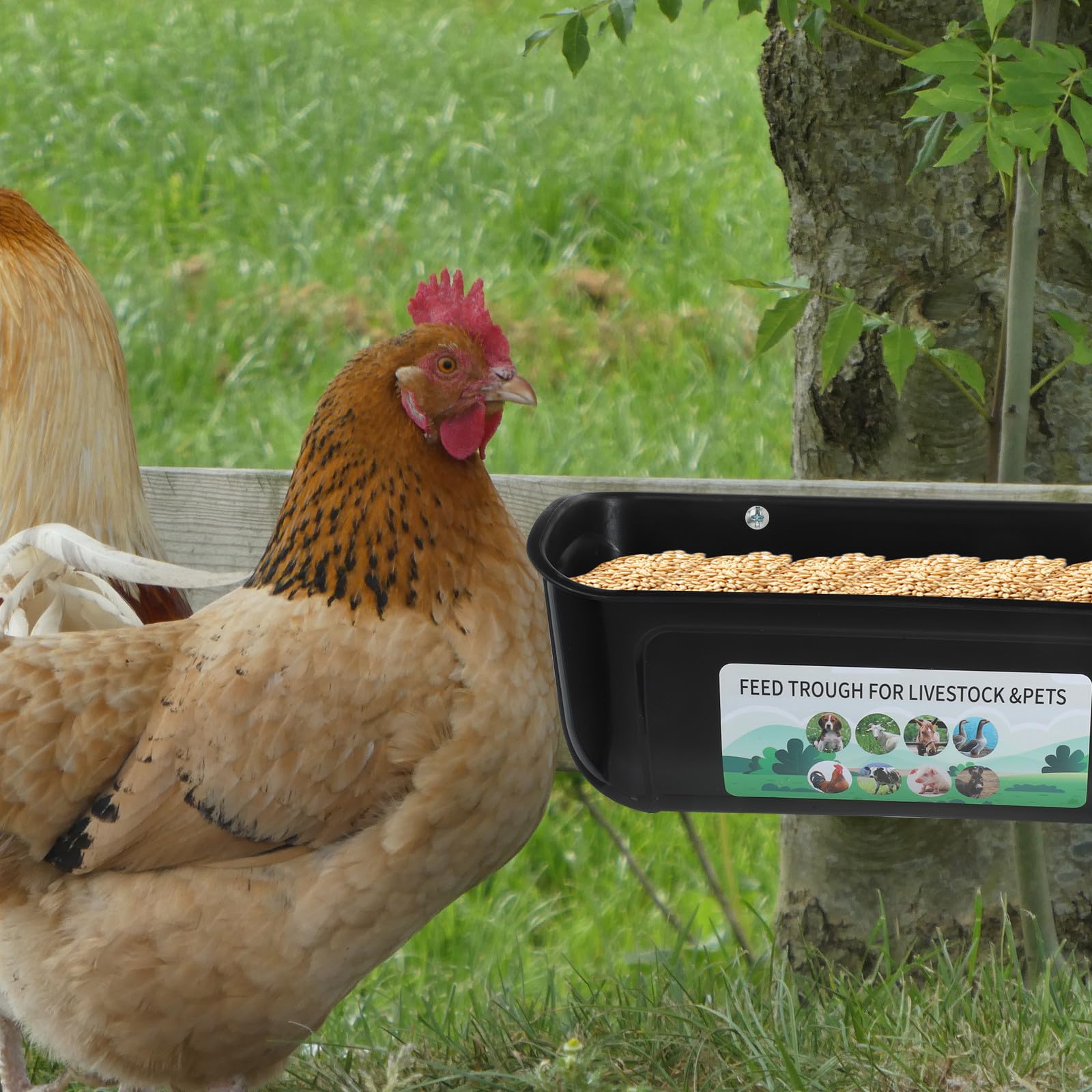 Comedero Automático para Aves de Corral Grande de 2 Piezas, Contenedor Colgante Negro de Alta Capacidad, Comedero Anticaída para Gallinas, Patos y Cabras, Abrevadero Resistente