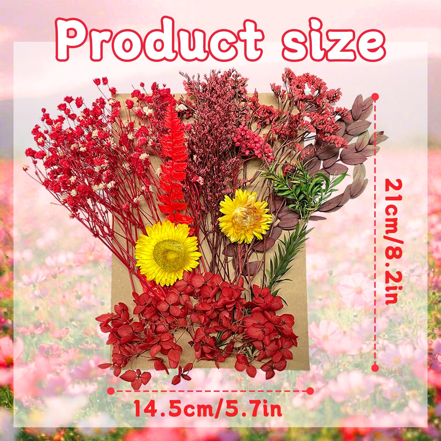 Fiori Secchi Naturali Per Artigianato - Set Decorativo Per Resina, Scrapbooking E Gioielli - Foto 7