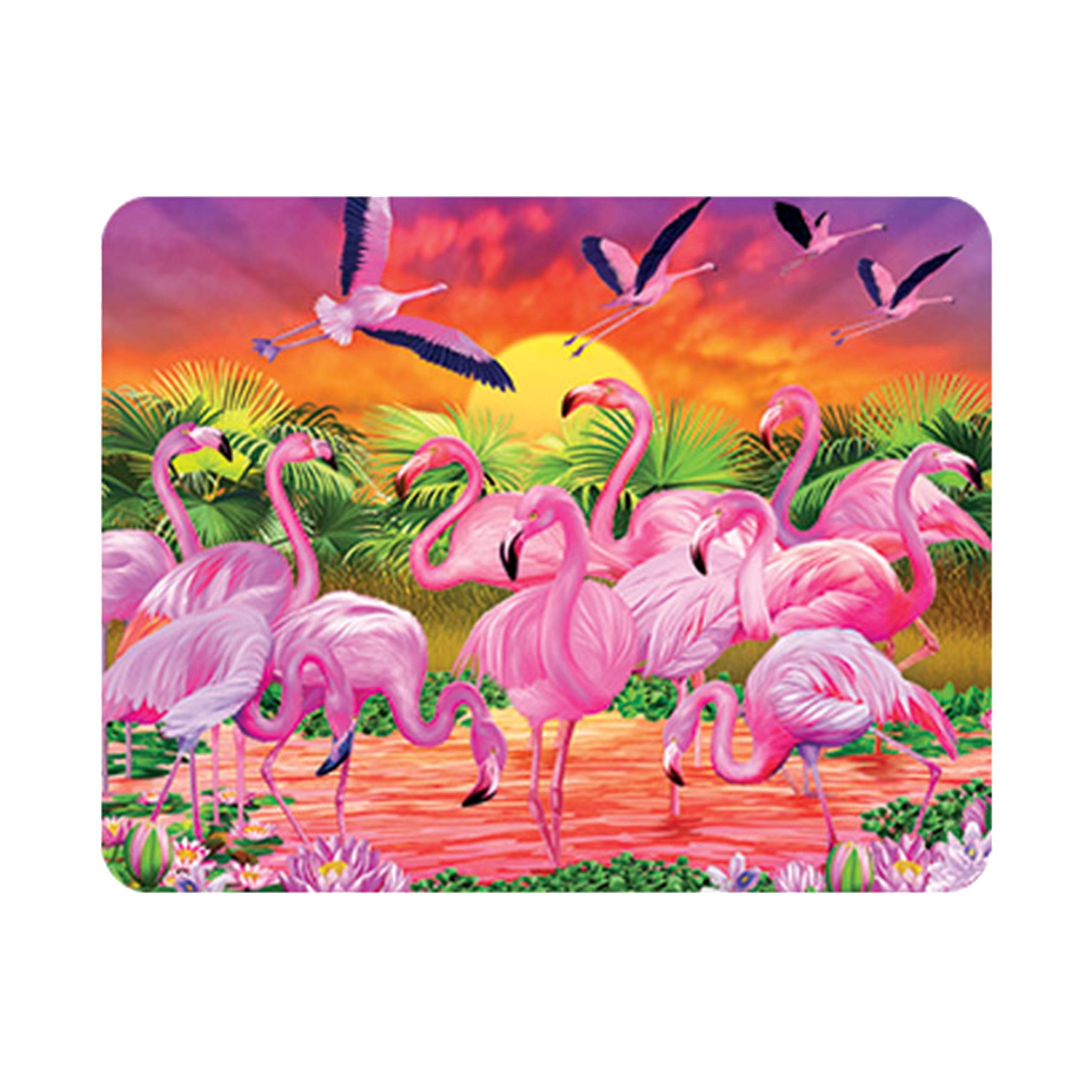 3D Livelife Flamingo Lingo Magnet - From Deluxebase. Lenticular Animal Fridge Magnet. Decorative 3D Flamingo Flat Magnets. Cute Small Magnets For Fridge, Dishwasher And Whiteboard.