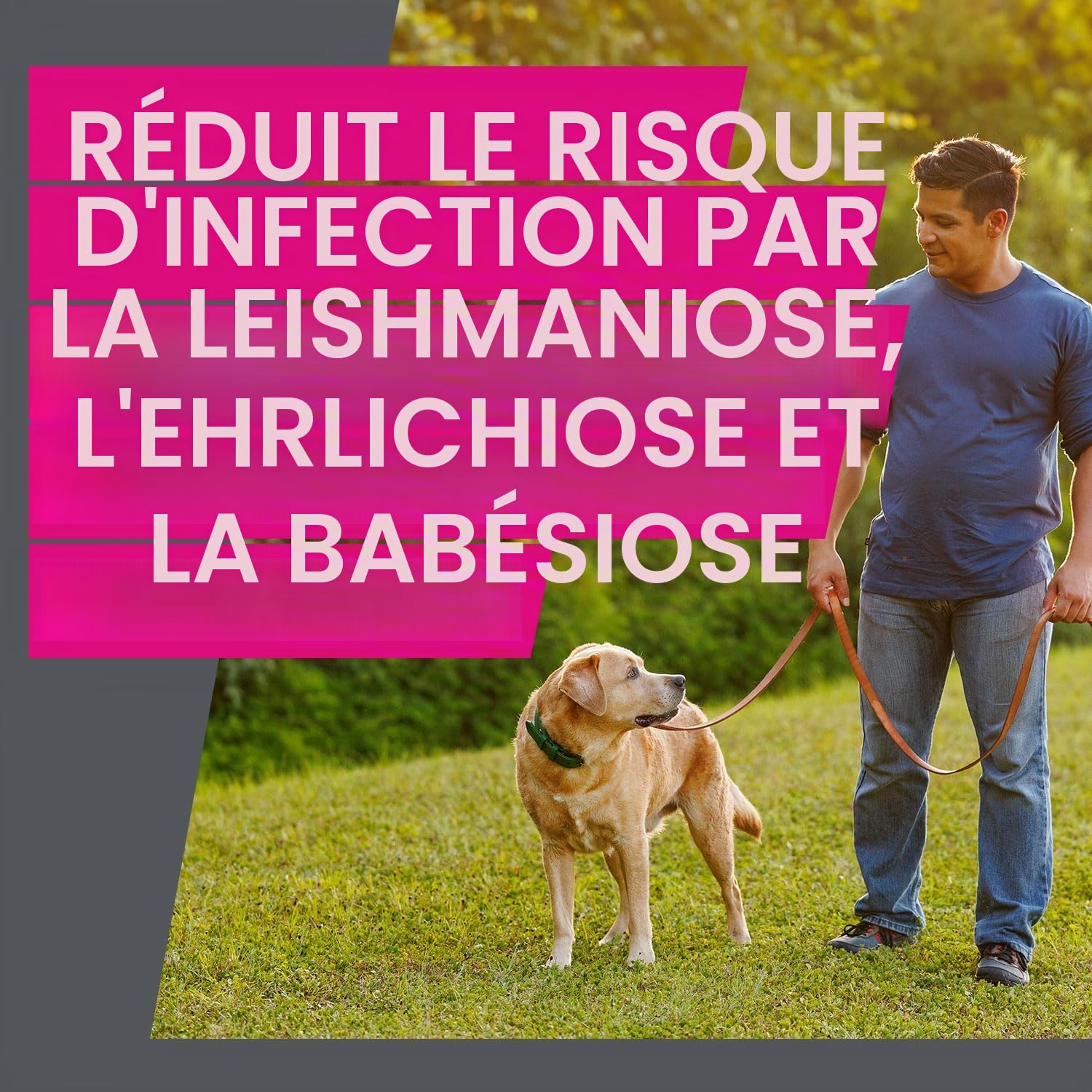 FRONTLINE TRI-ACT Chien S contre les tiques, les puces et les moustiques (5 à 10 kg)